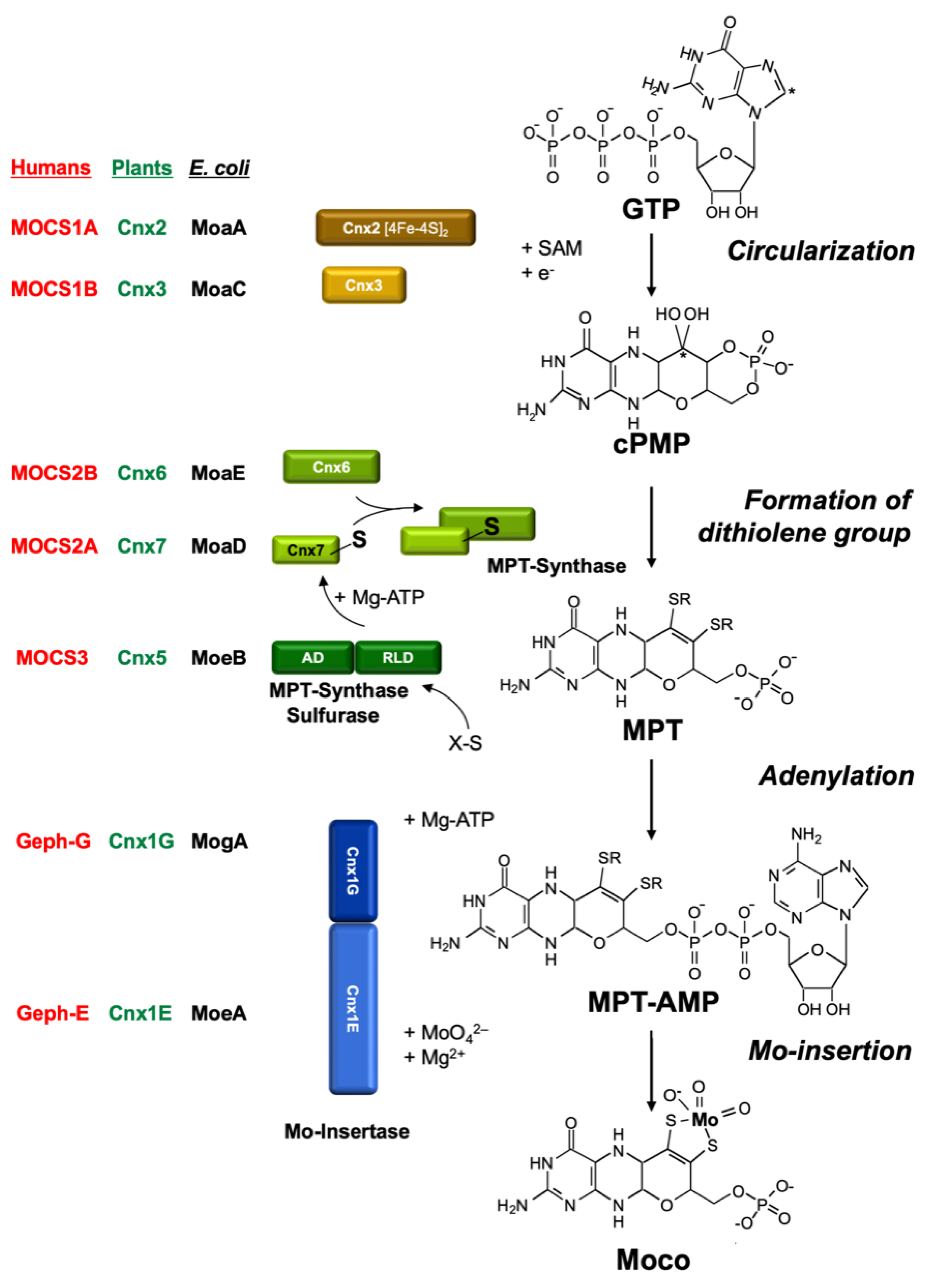 Molecules 27 04934 g003