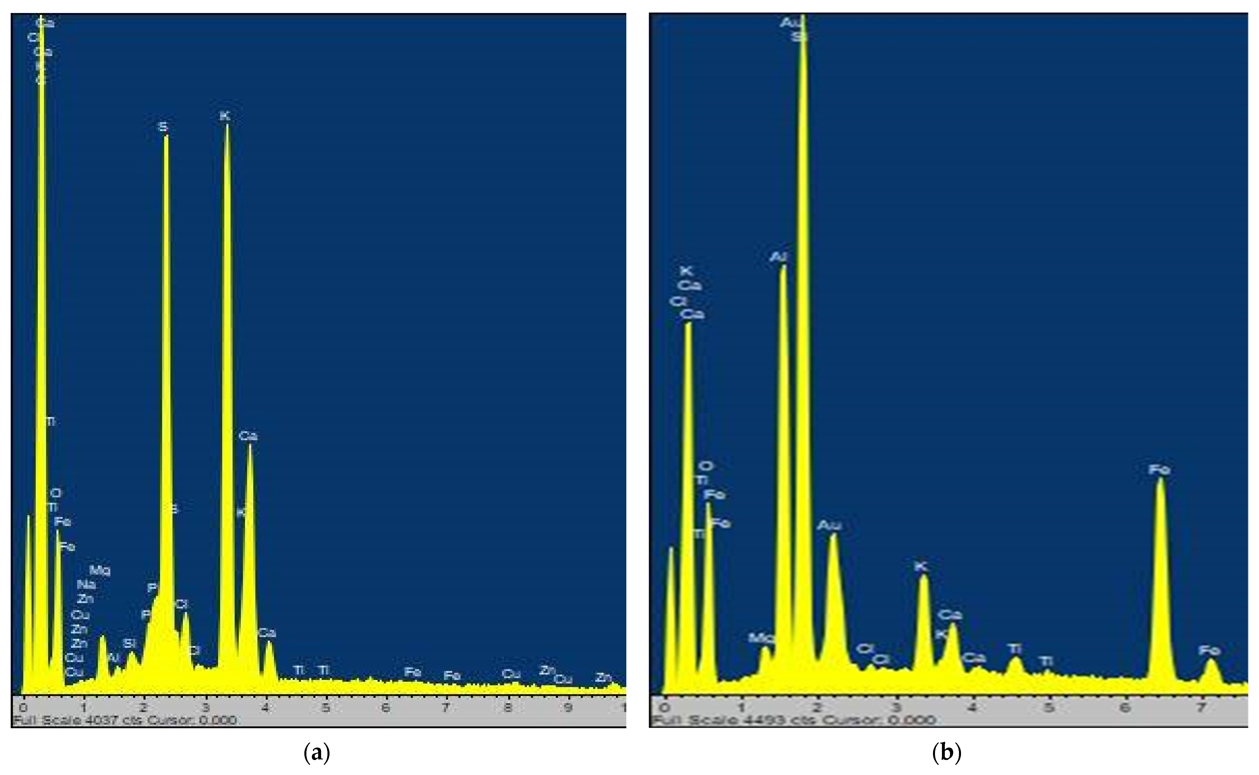 Molecules 27 04935 g001