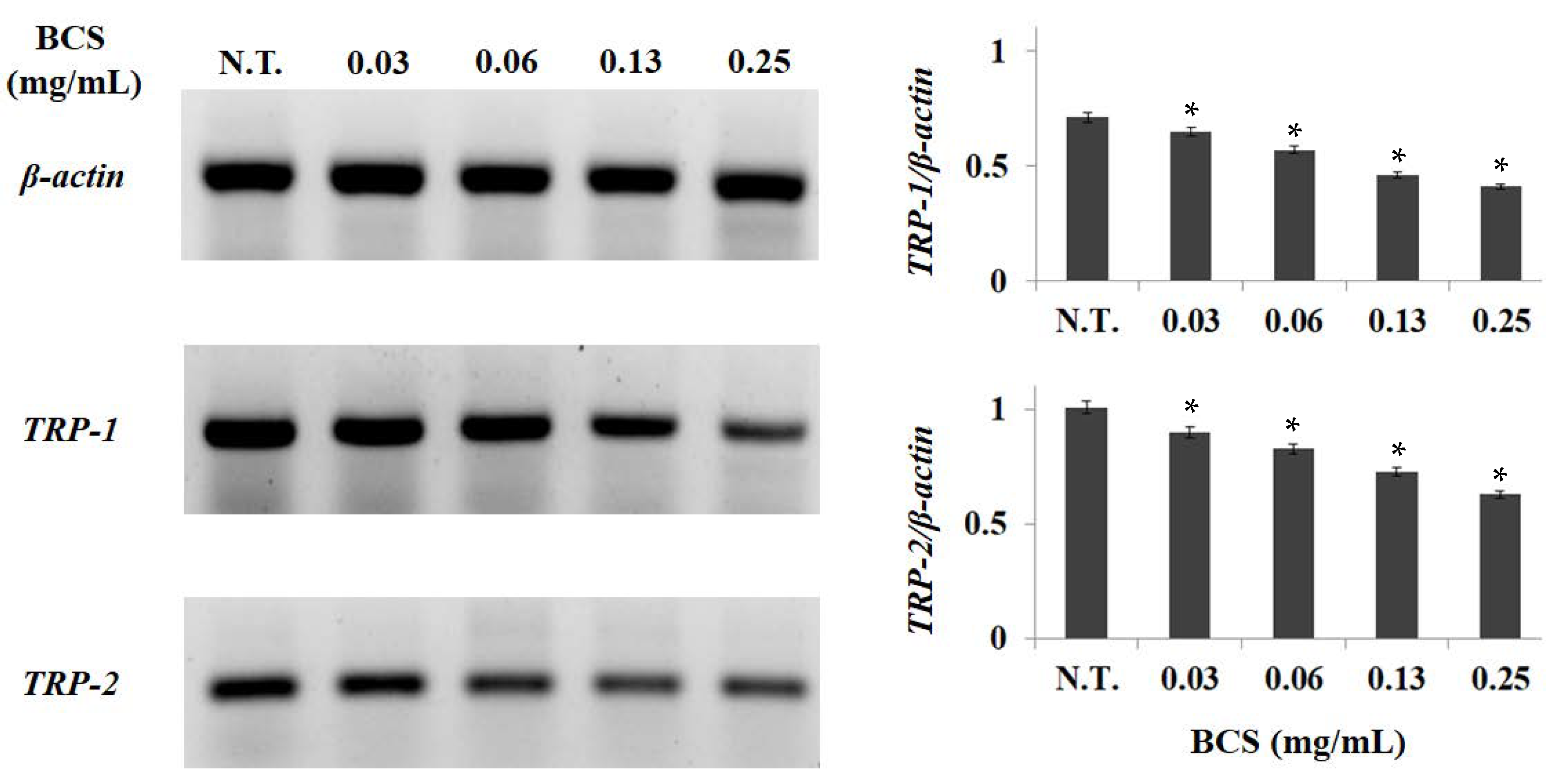 Molecules 27 04940 g004 Molecules 27 04940 g004