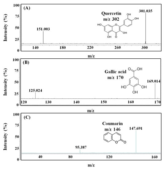 Molecules 27 04940 g005a Molecules 27 04940 g005a