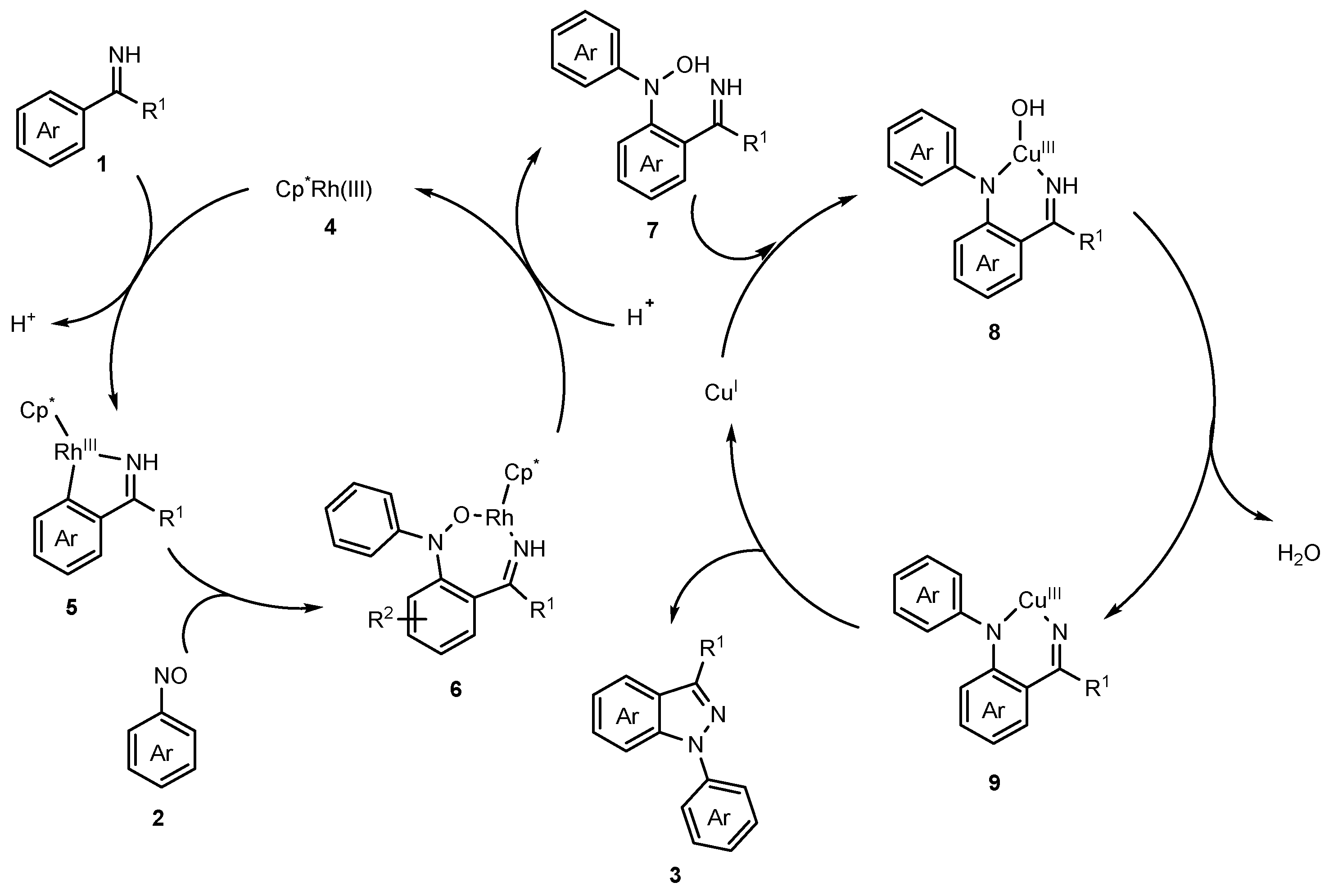 Molecules 27 04942 sch002