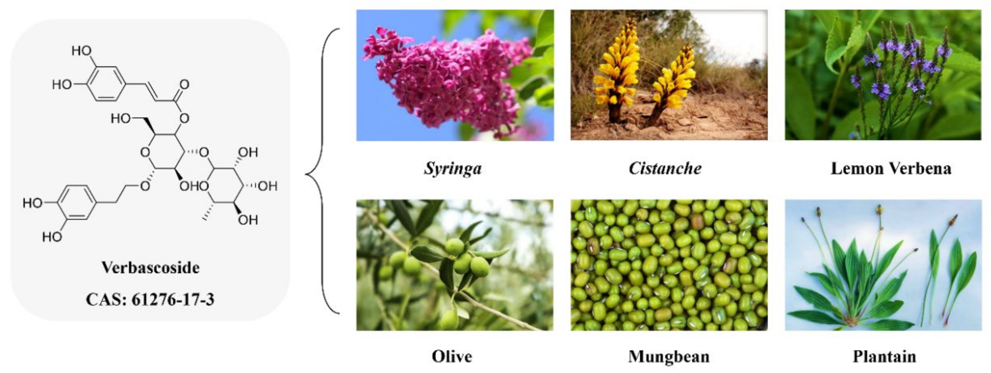 Molecules 27 04943 g001