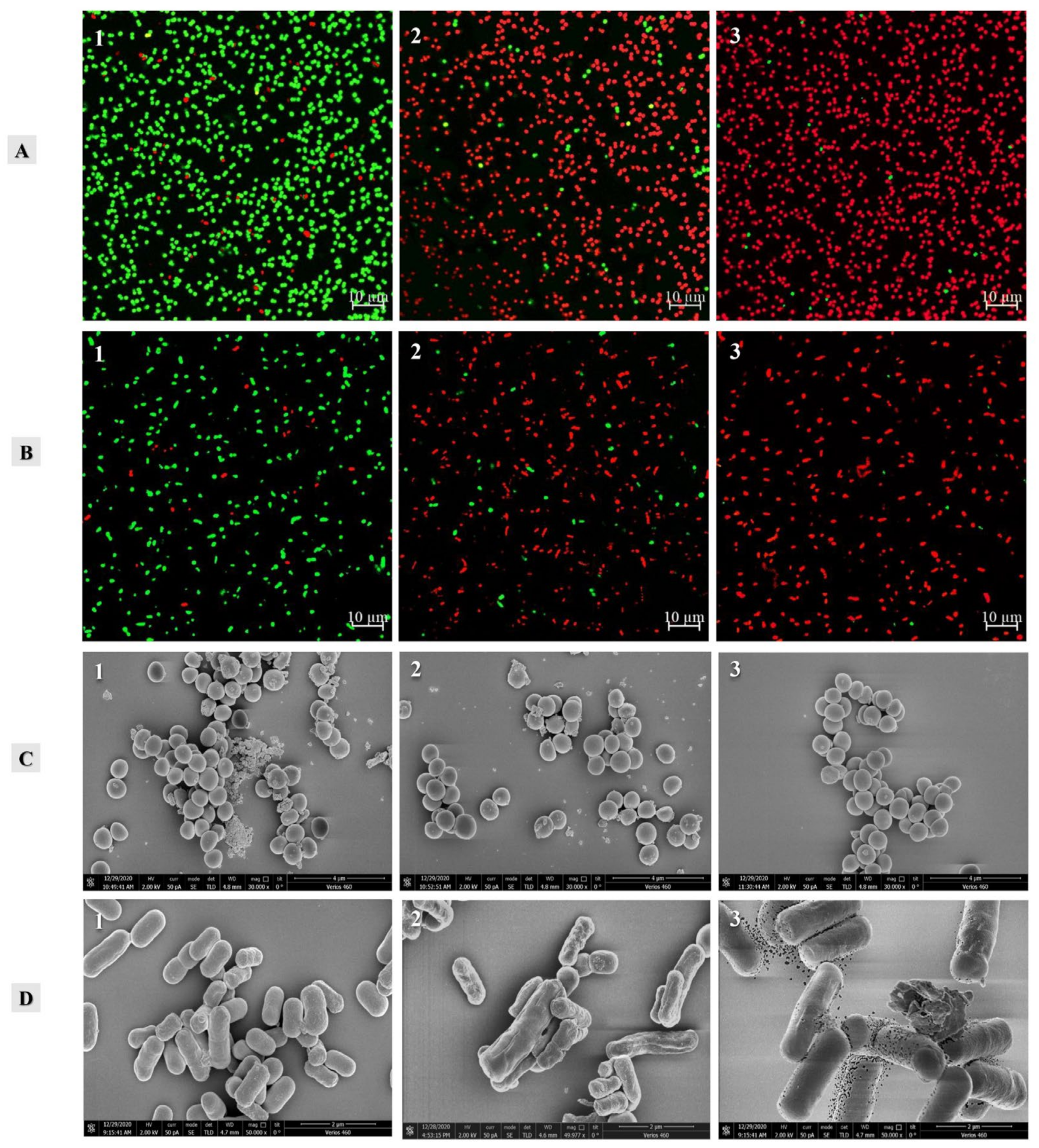 Molecules 27 04943 g004