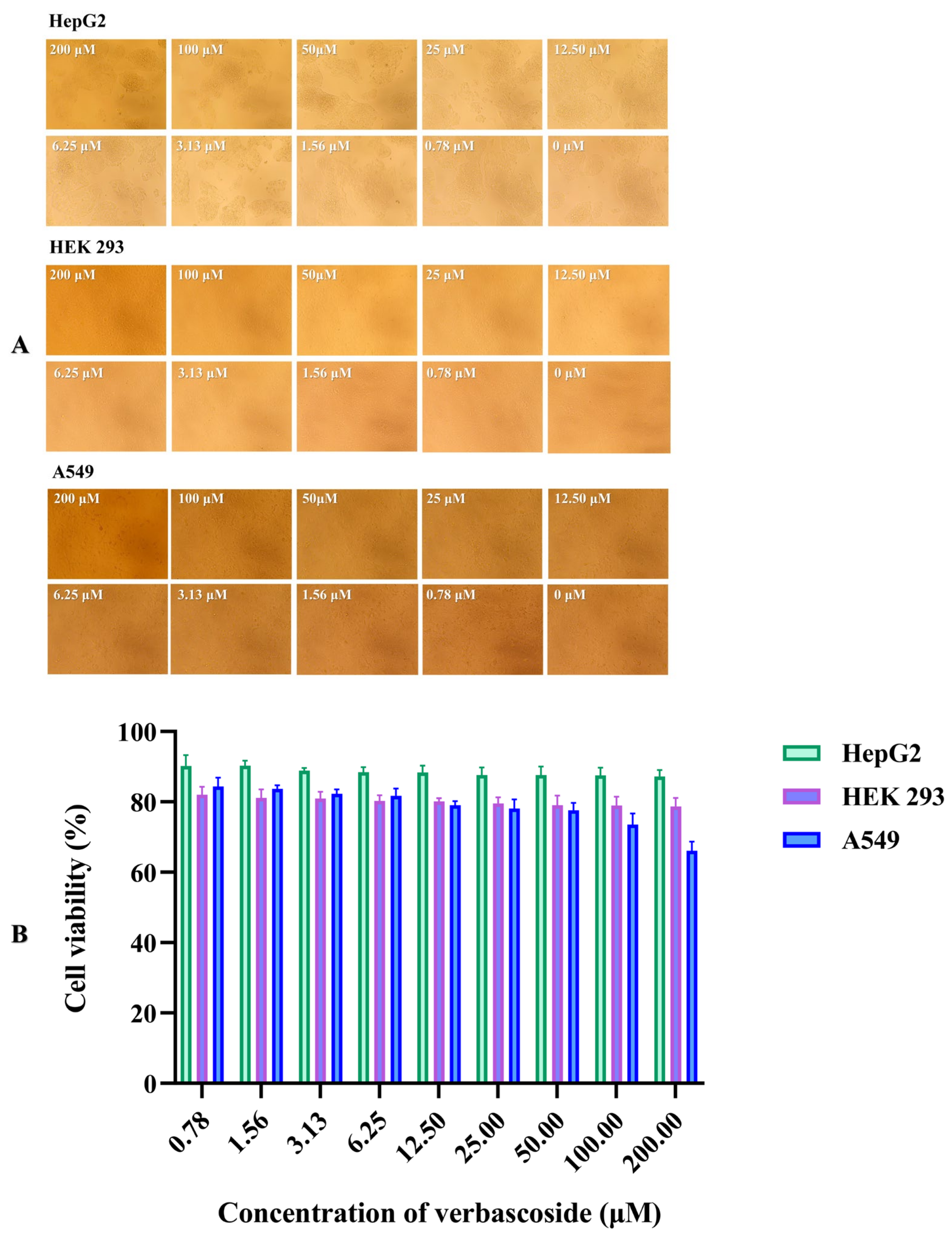 Molecules 27 04943 g006