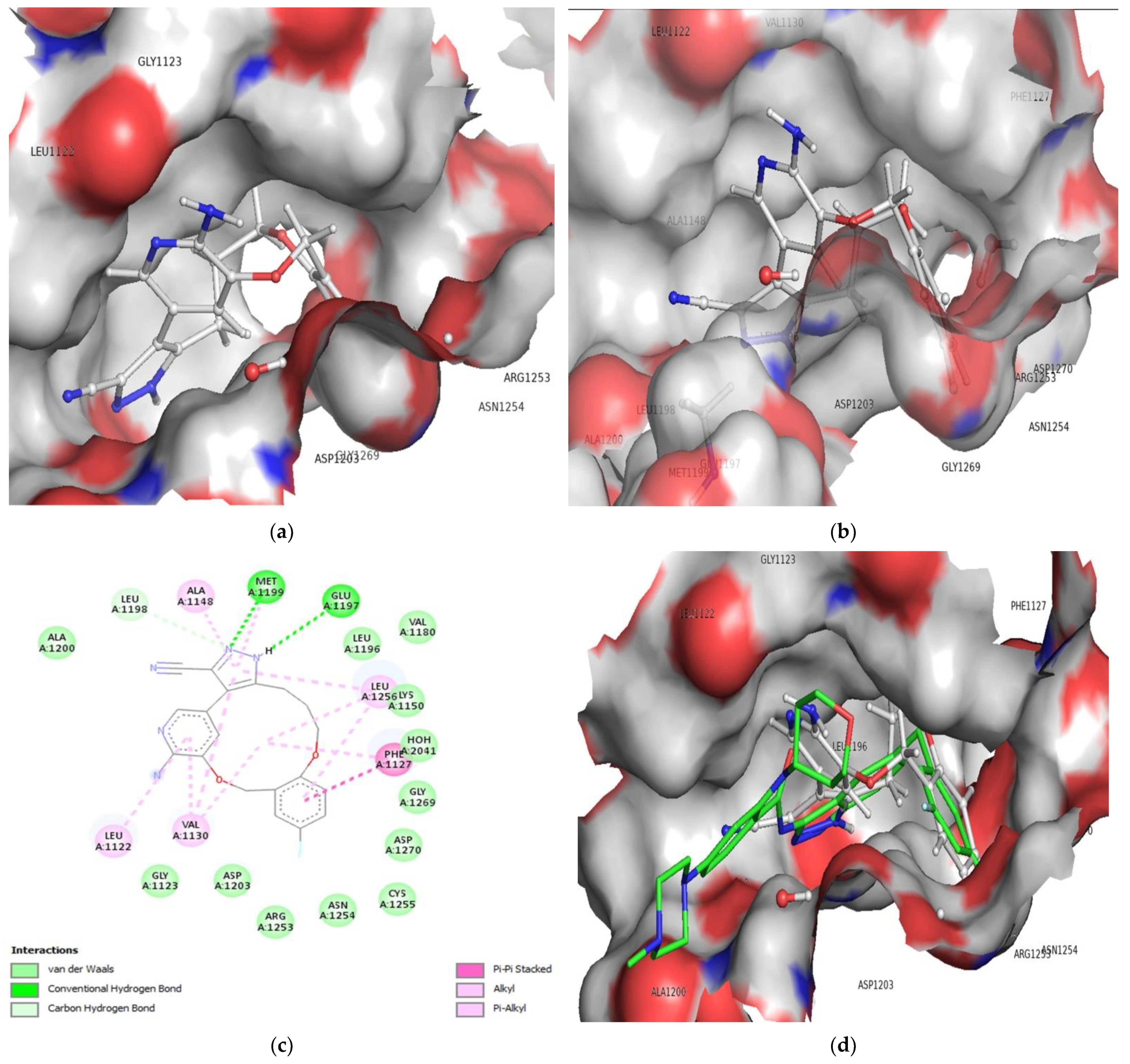 Molecules 27 04951 g007