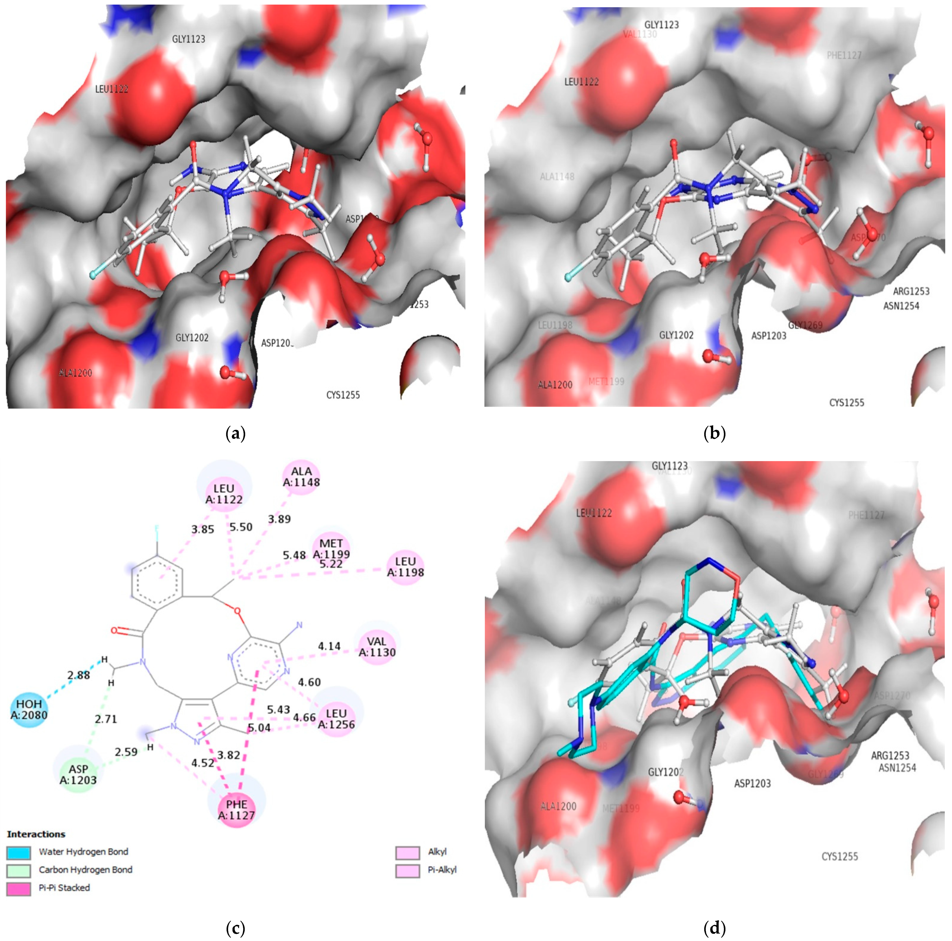 Molecules 27 04951 g008