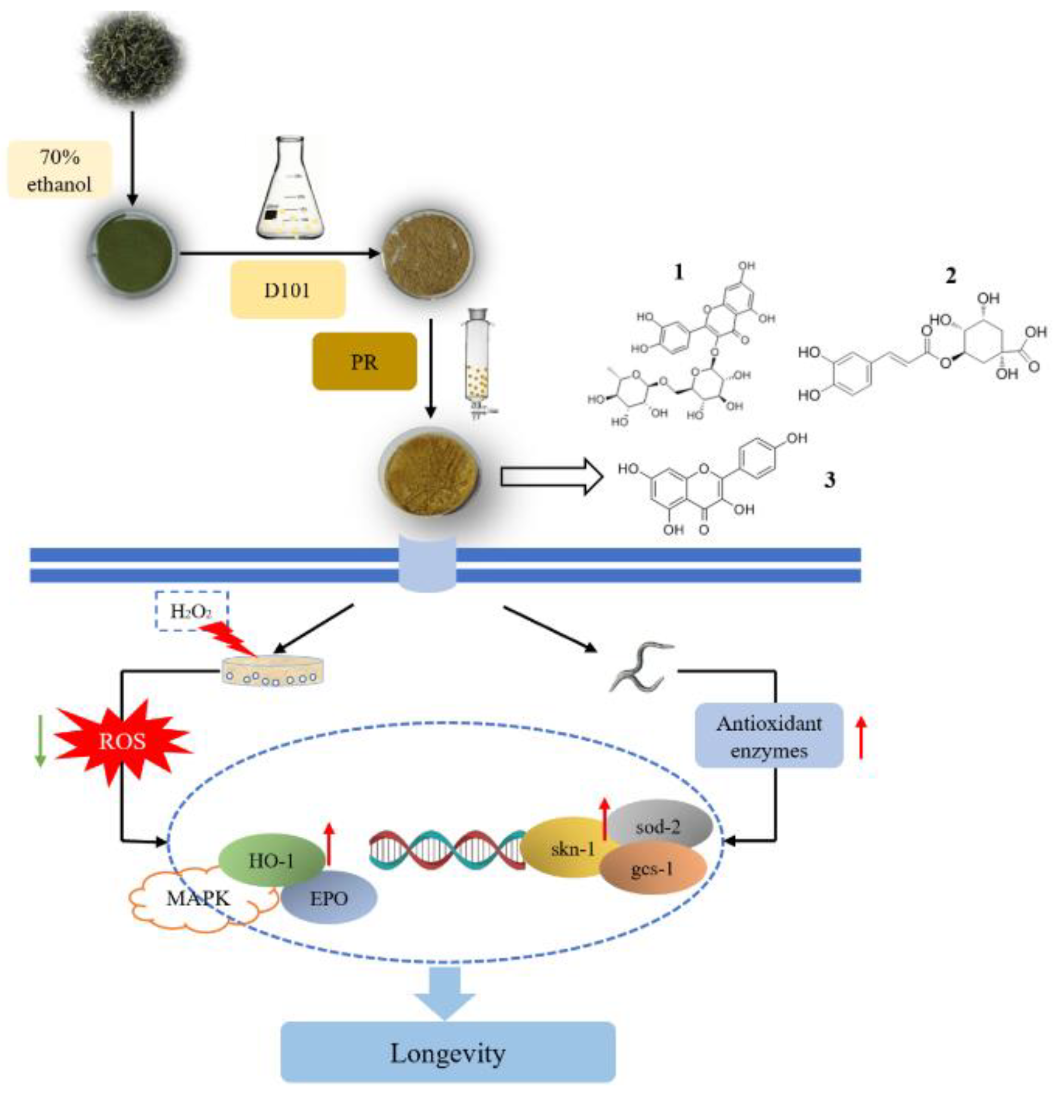 Molecules 27 04952 g007