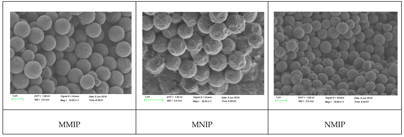 Molecules 27 04953 g002