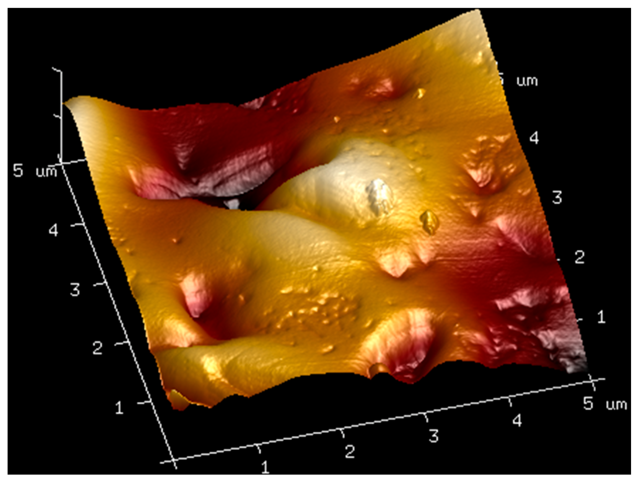 Molecules 27 04956 g008