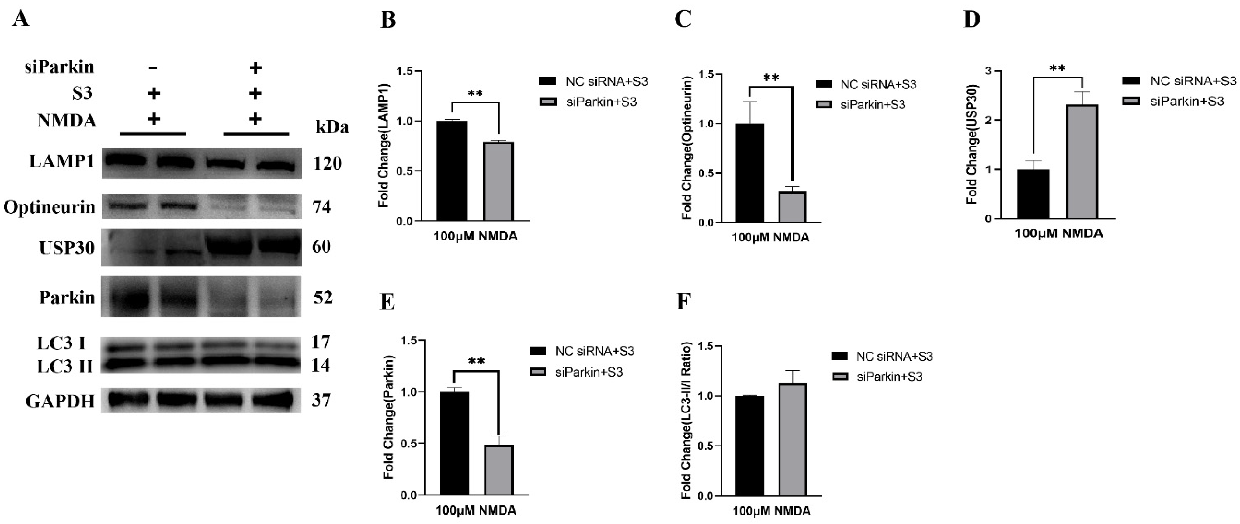 Molecules 27 04957 g005