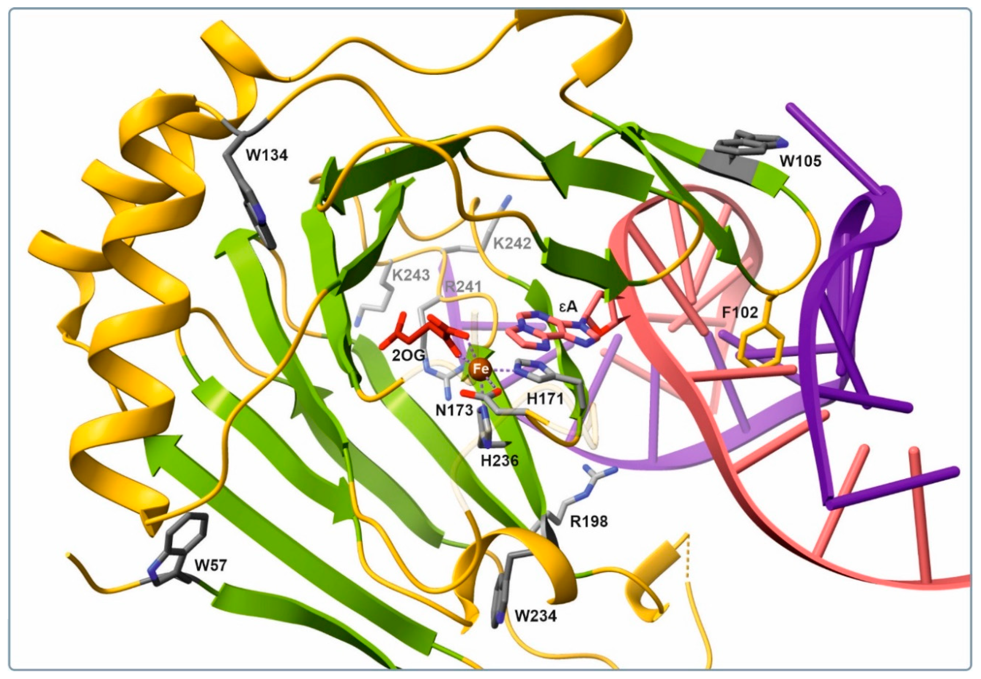Molecules 27 04960 g001