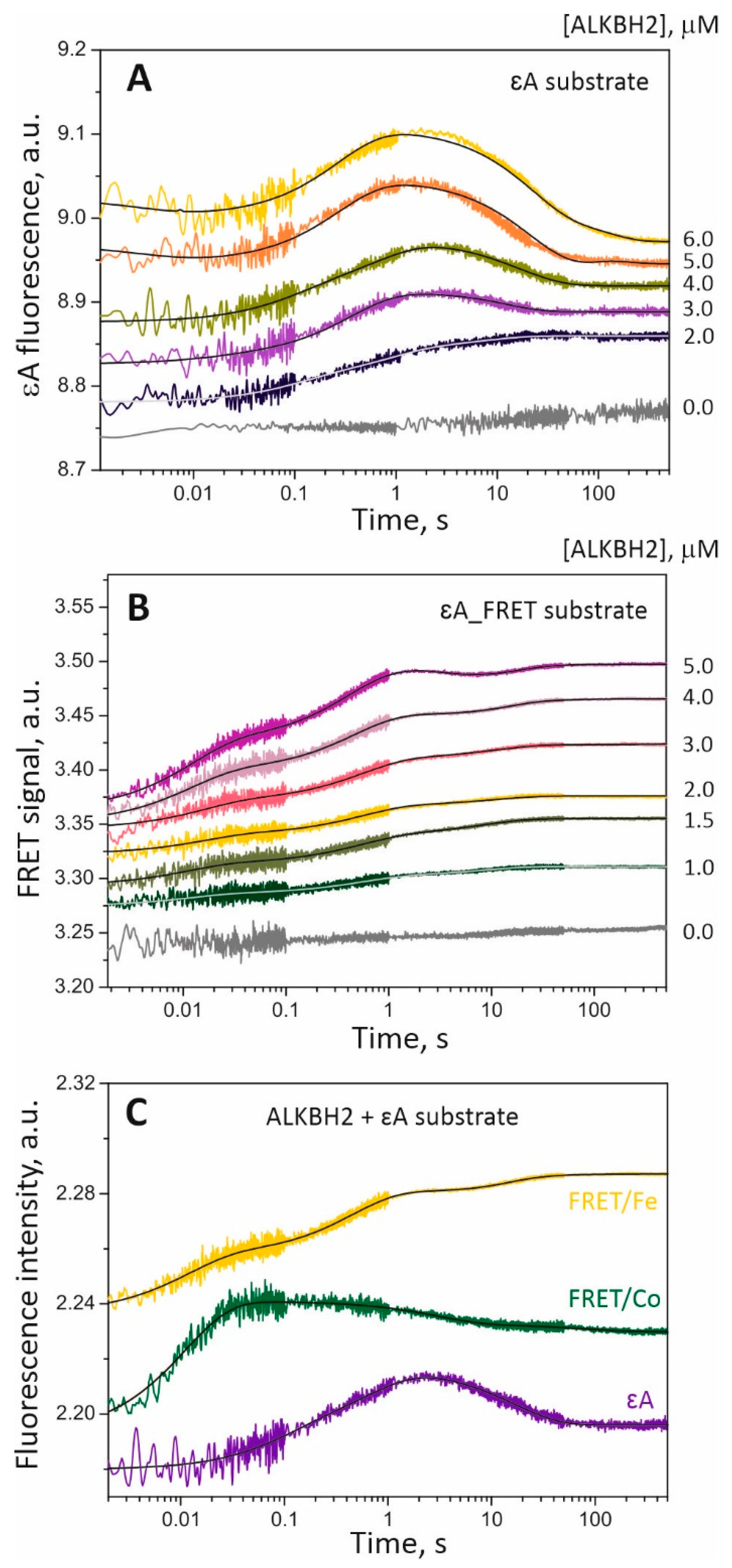 Molecules 27 04960 g006