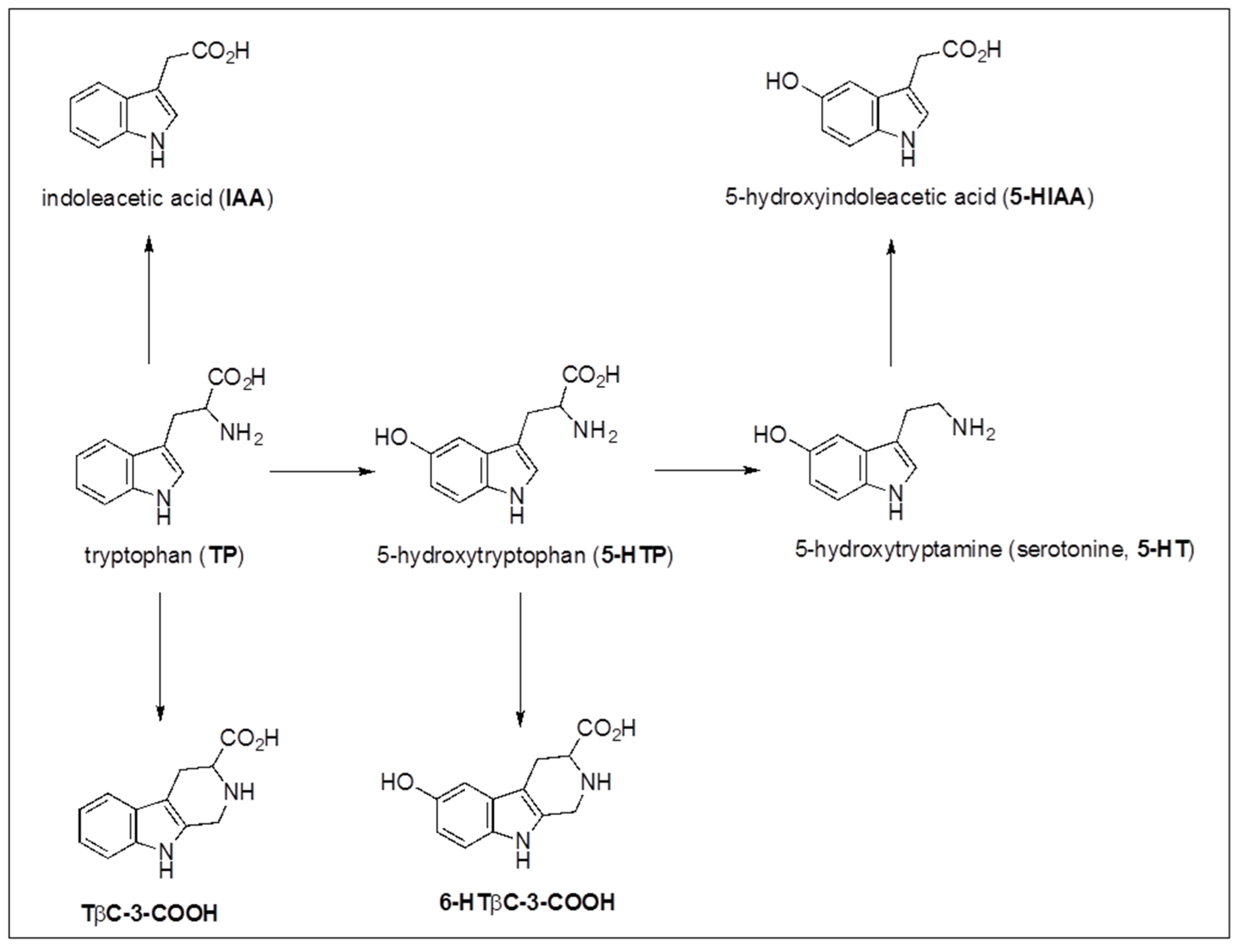 Molecules 27 04962 sch001