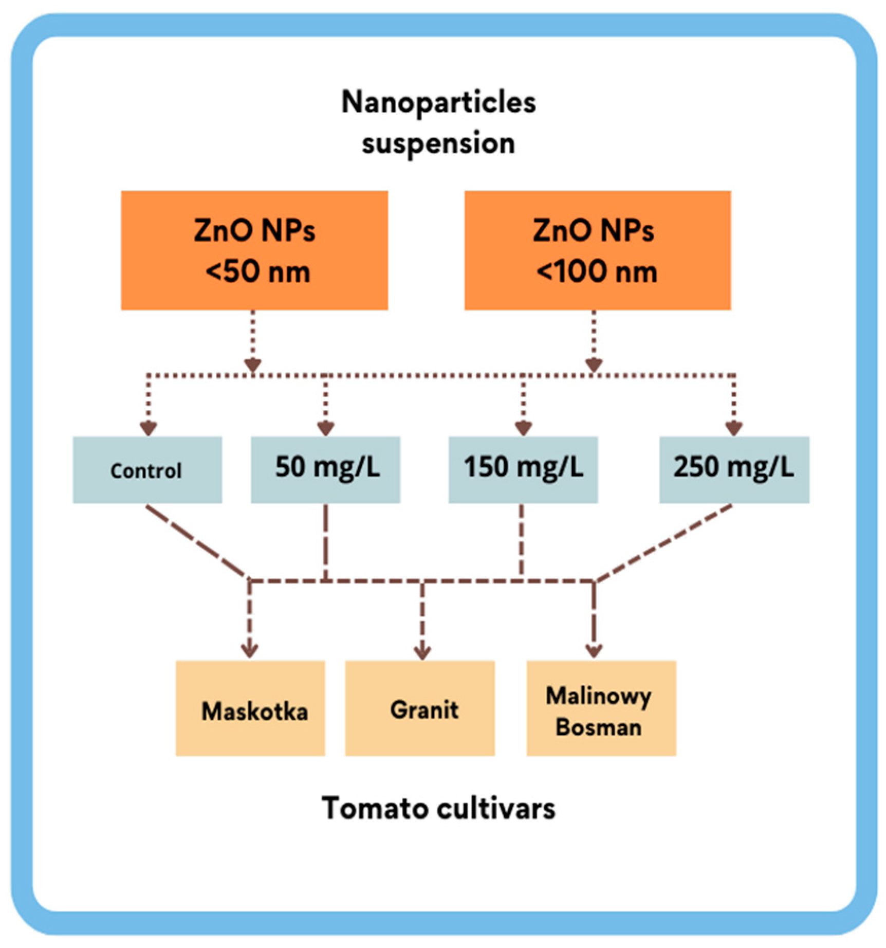 Molecules 27 04963 g001