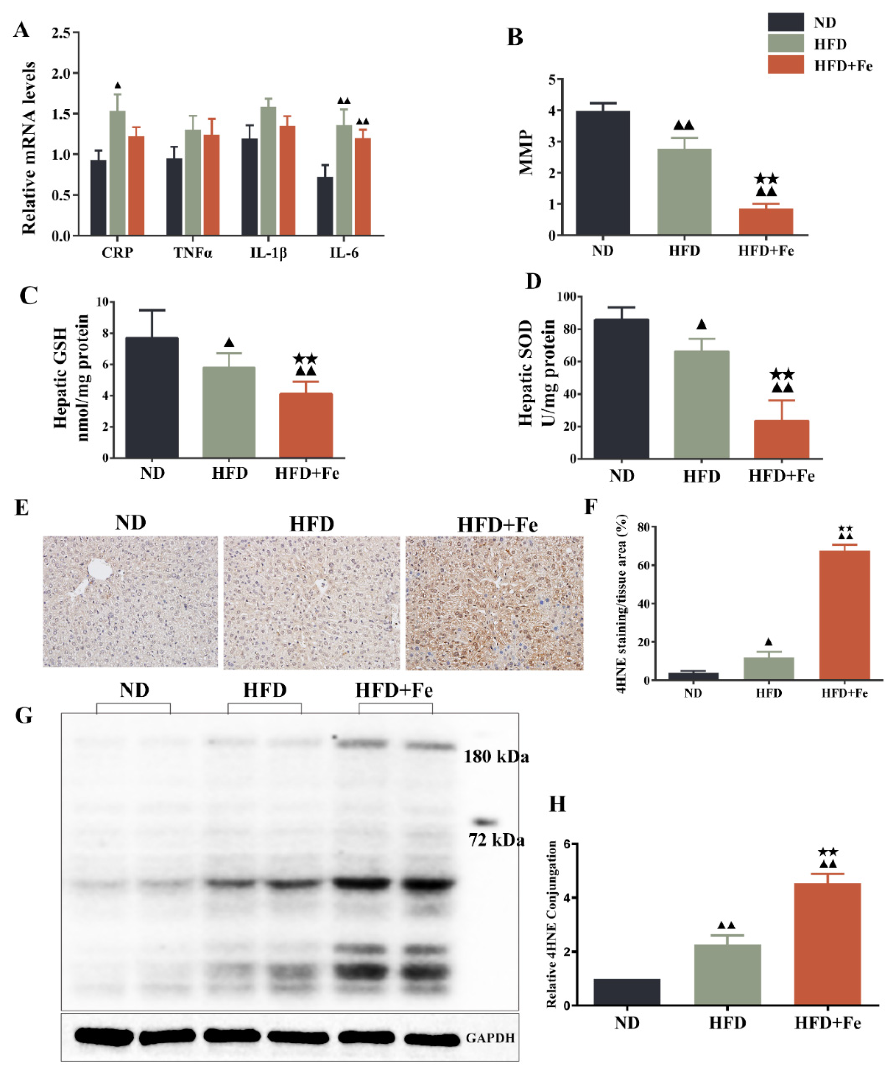 Molecules 27 04966 g004