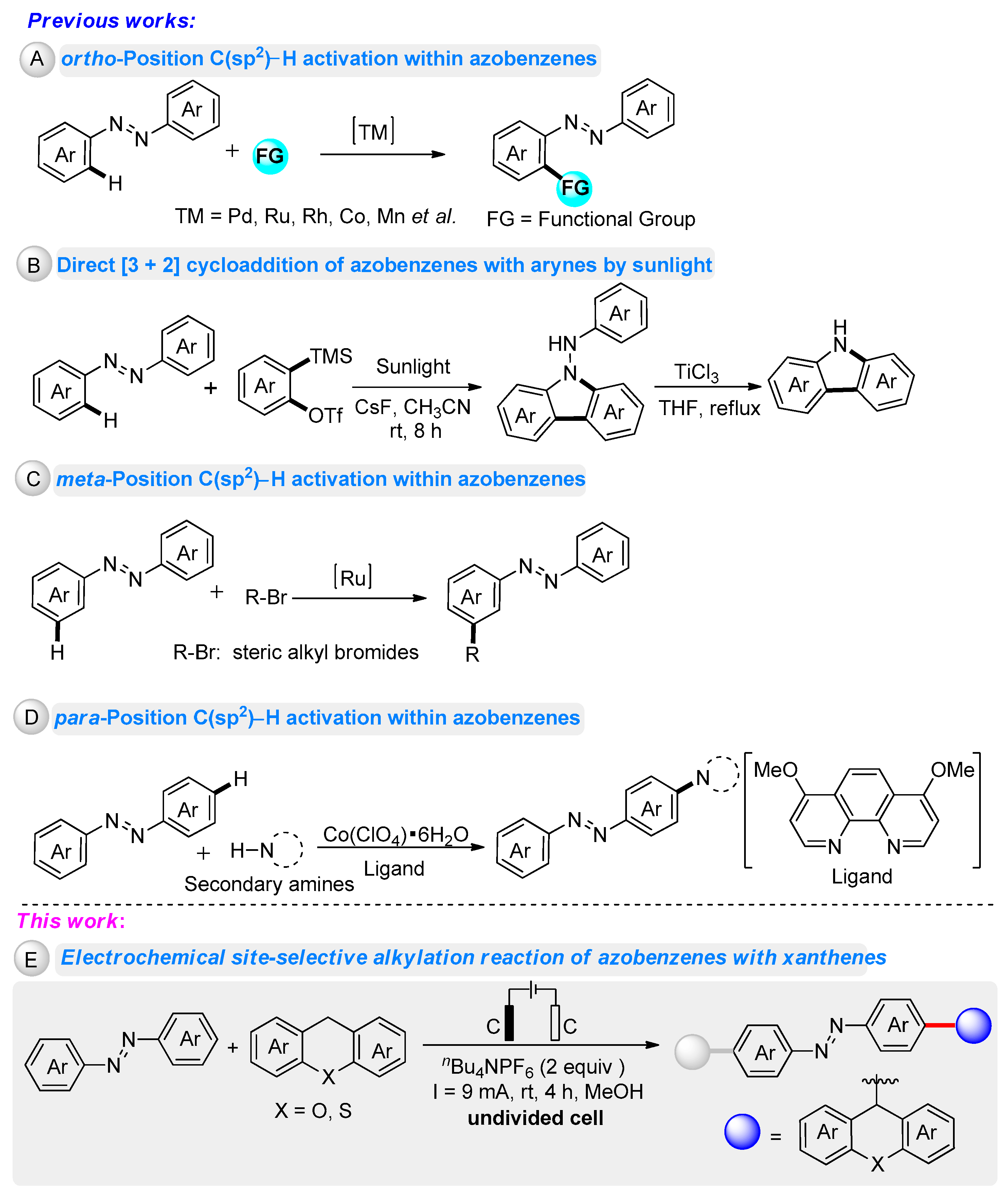 Molecules 27 04967 sch001