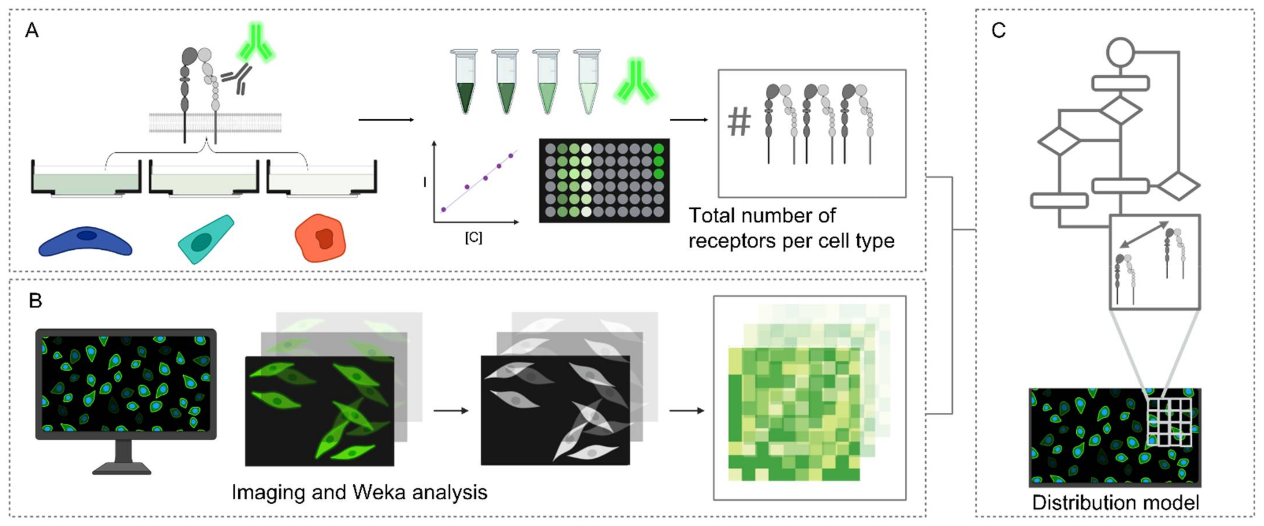 Molecules 27 04968 g002