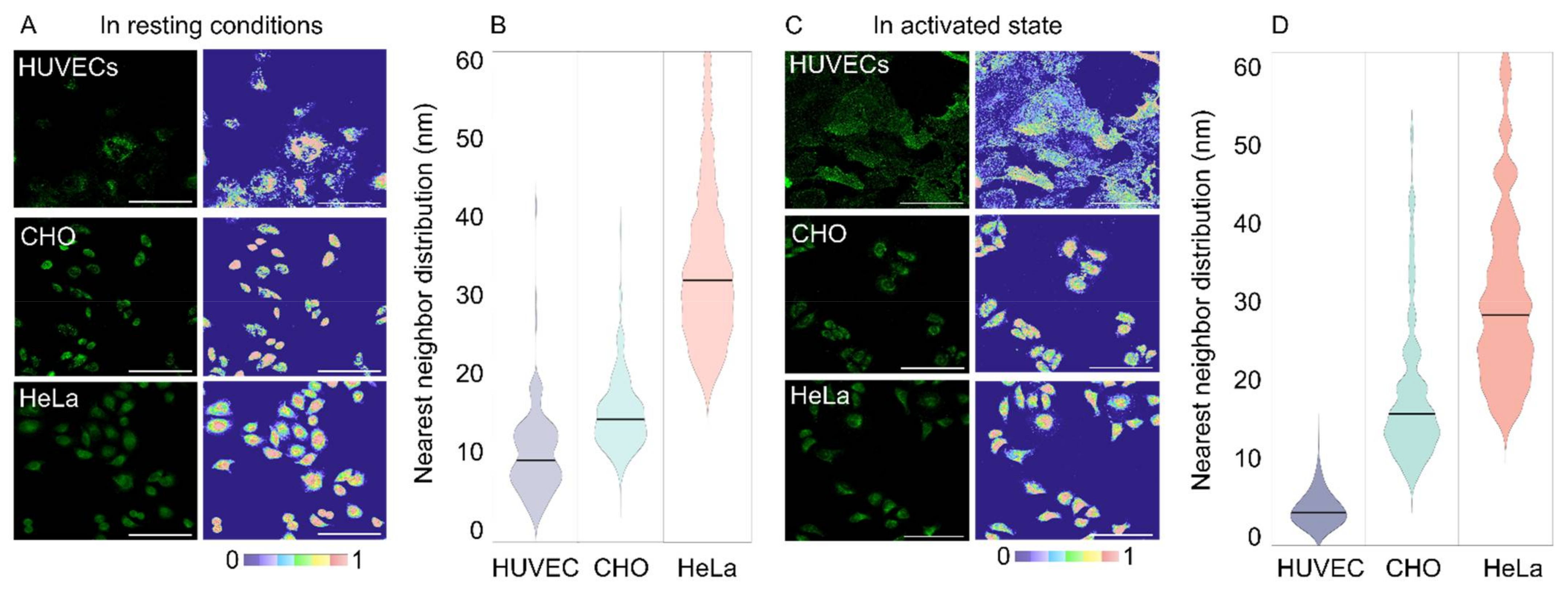 Molecules 27 04968 g003