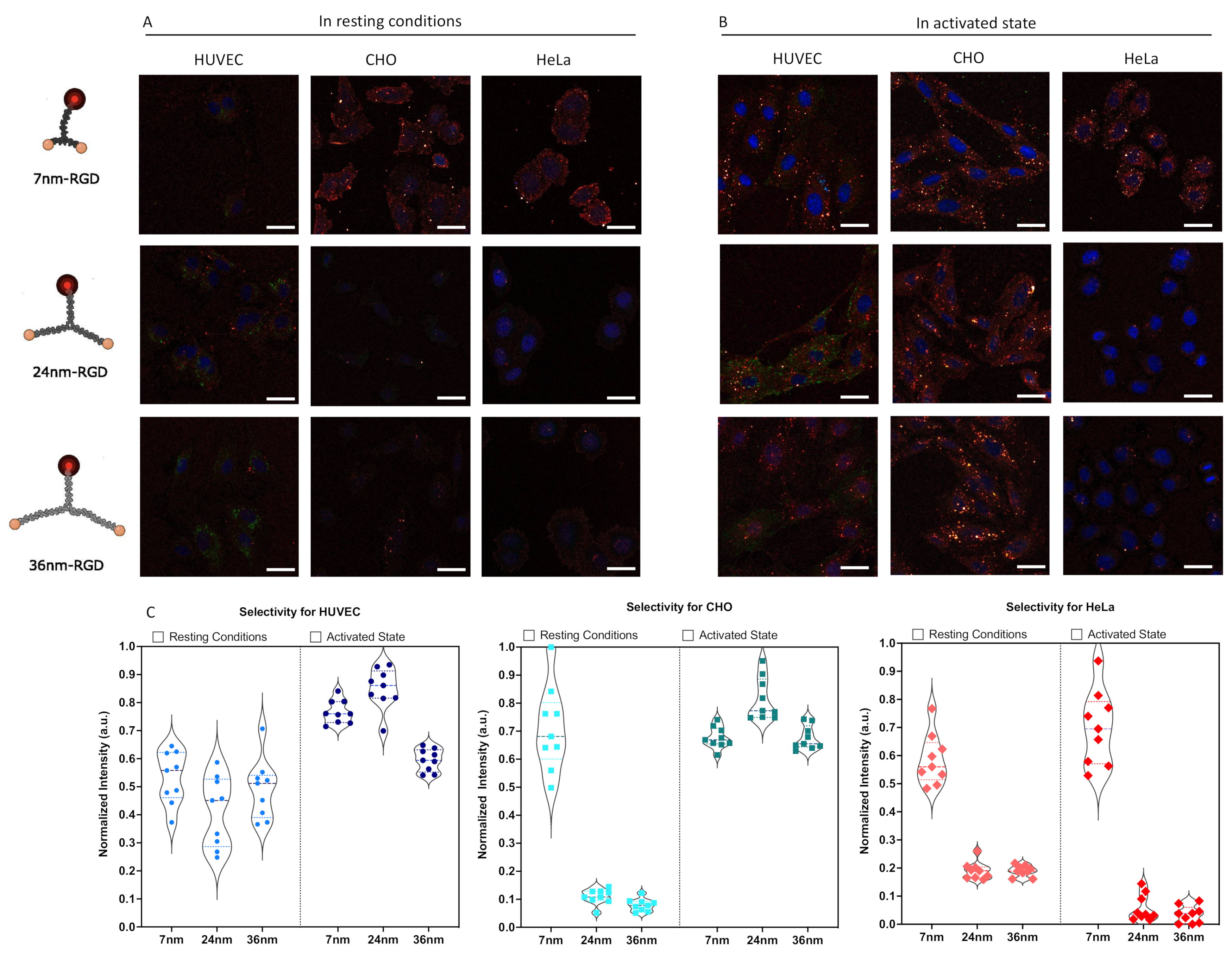 Molecules 27 04968 g005
