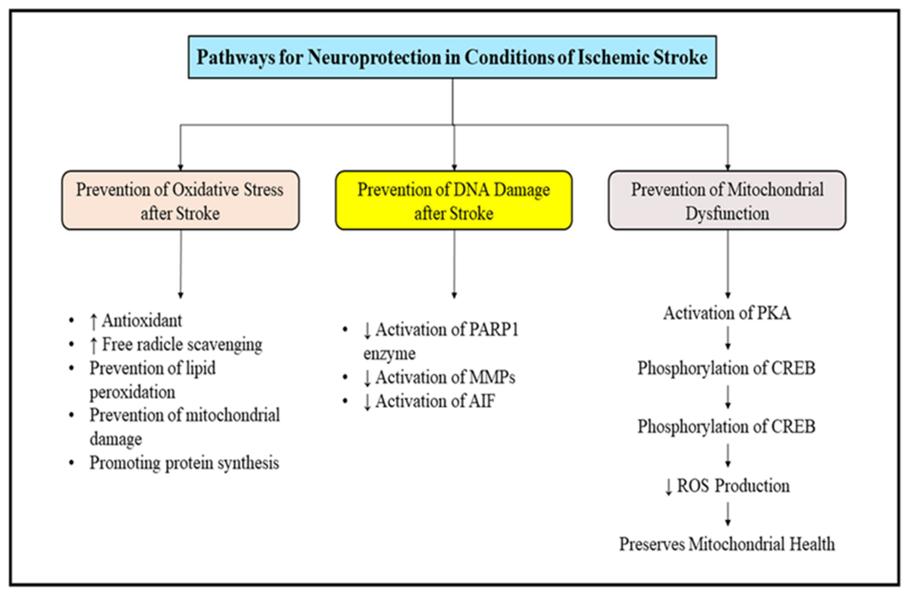 Molecules 27 04970 g005