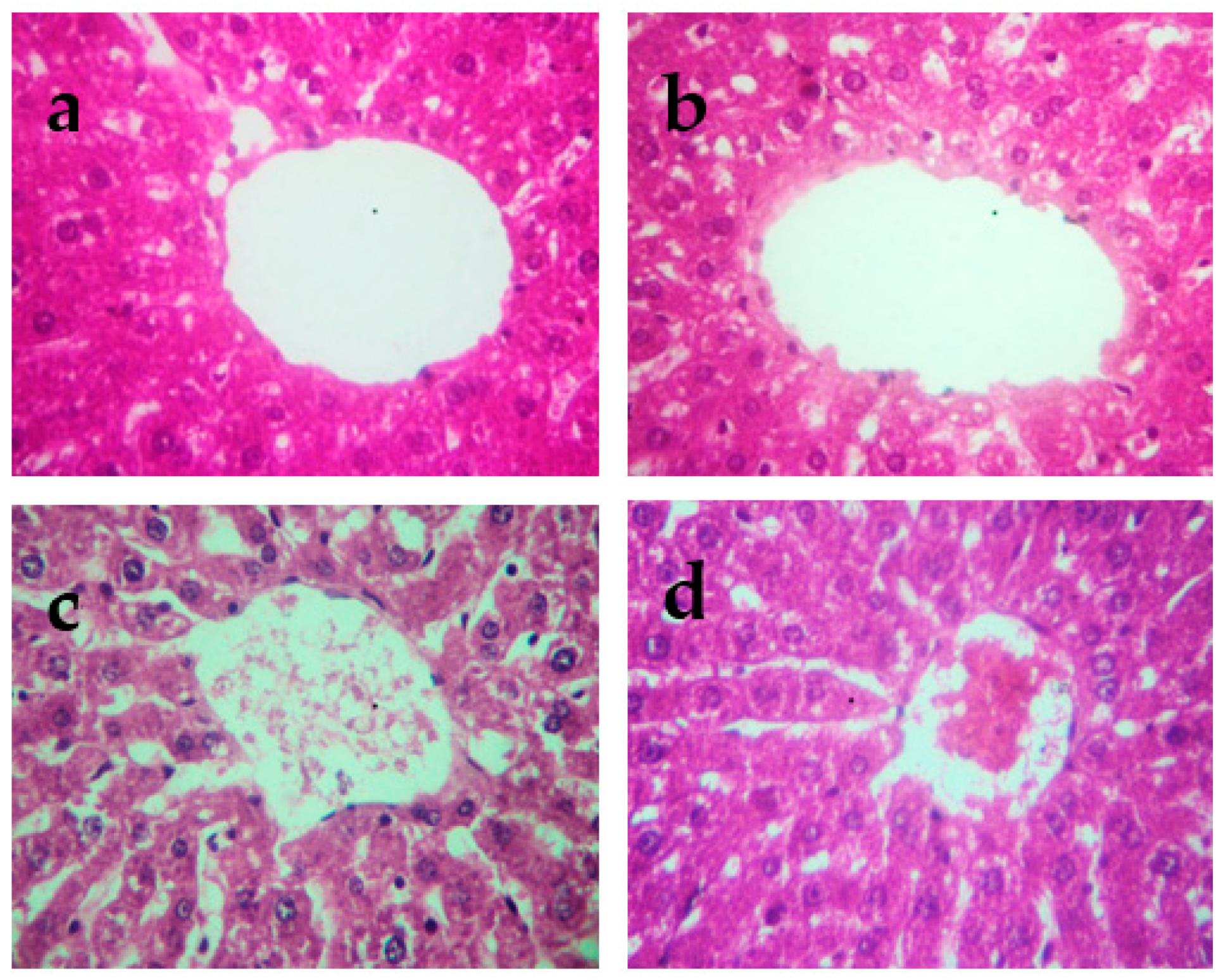 Molecules 27 04972 g004