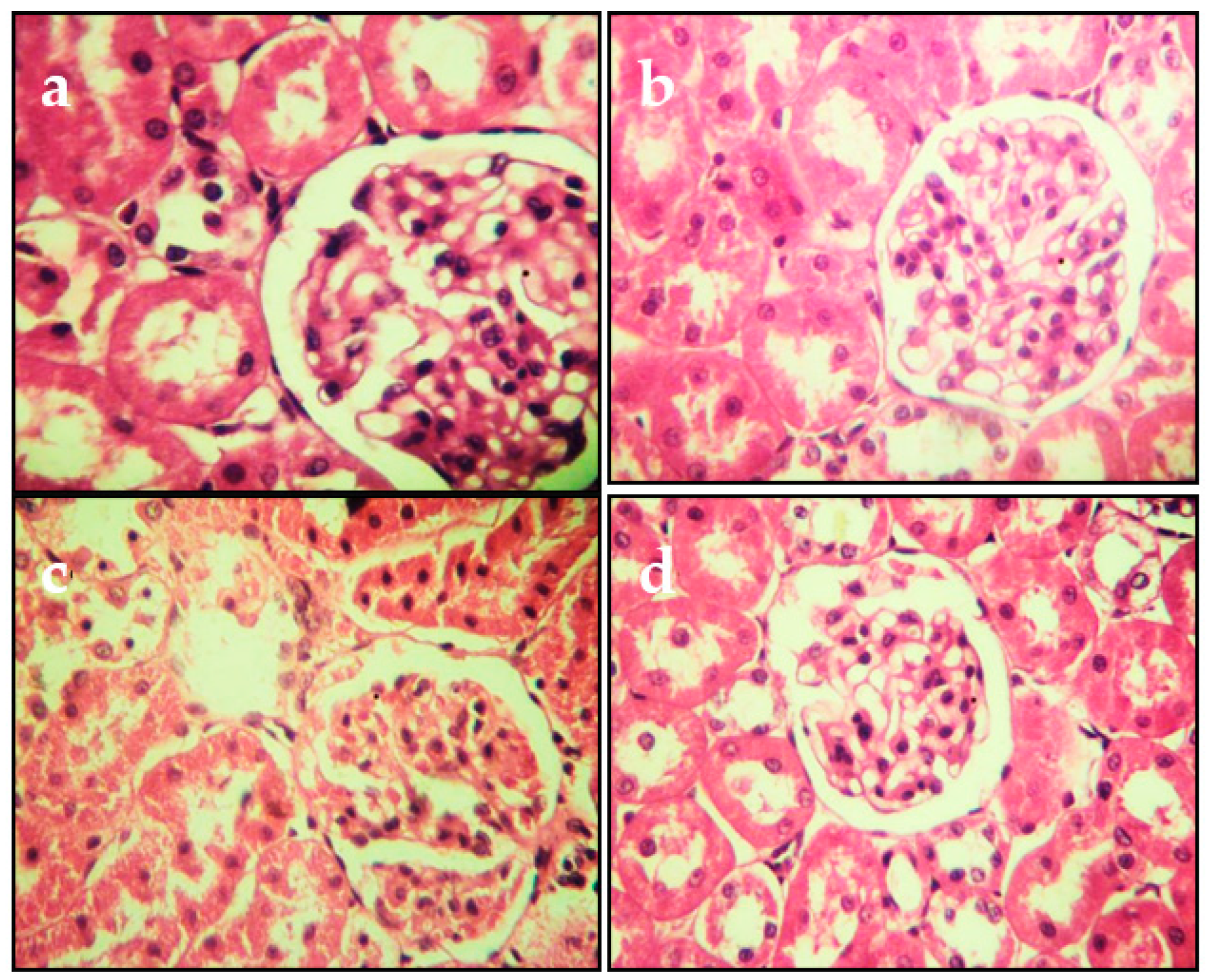 Molecules 27 04972 g005