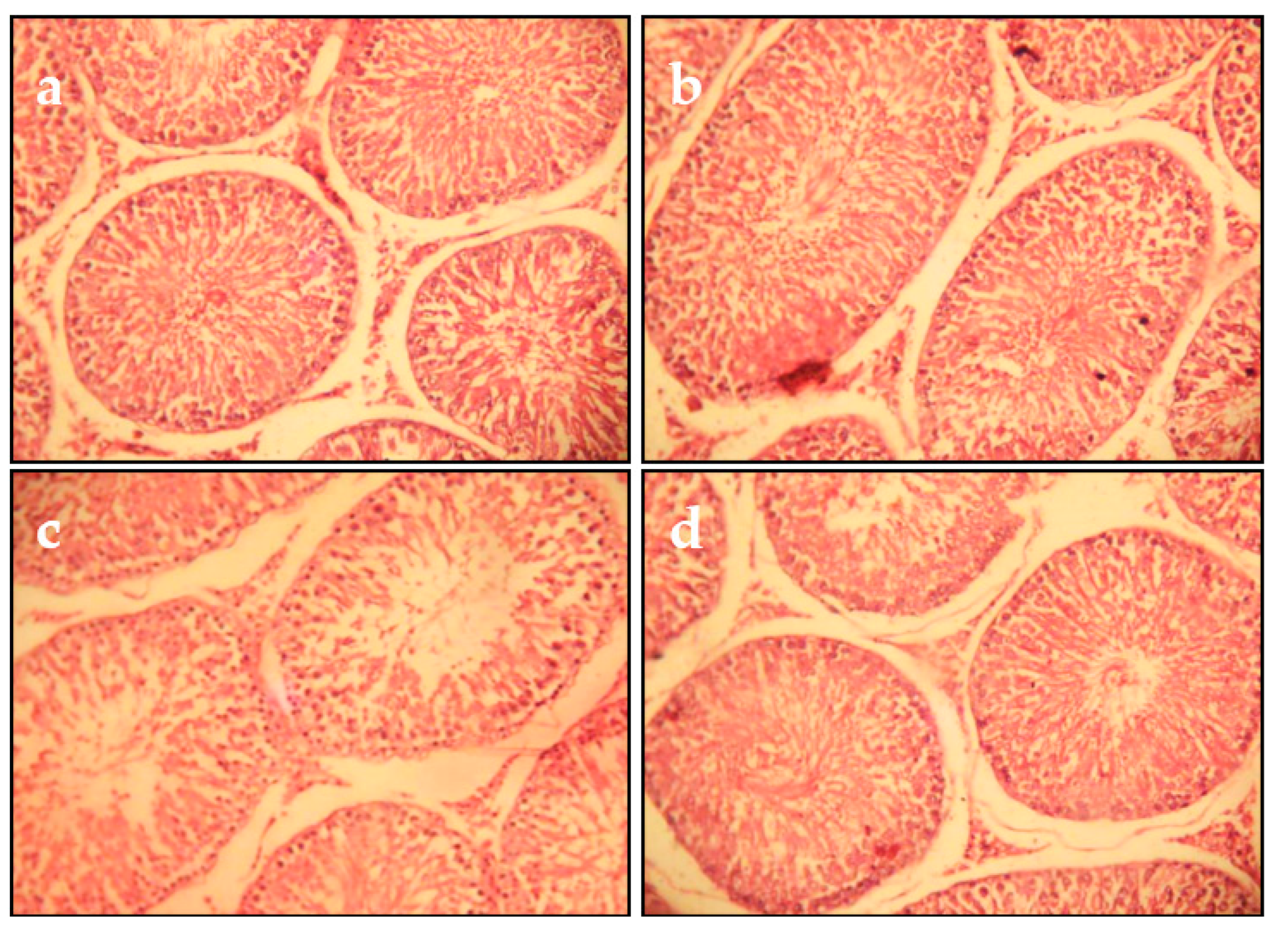 Molecules 27 04972 g006