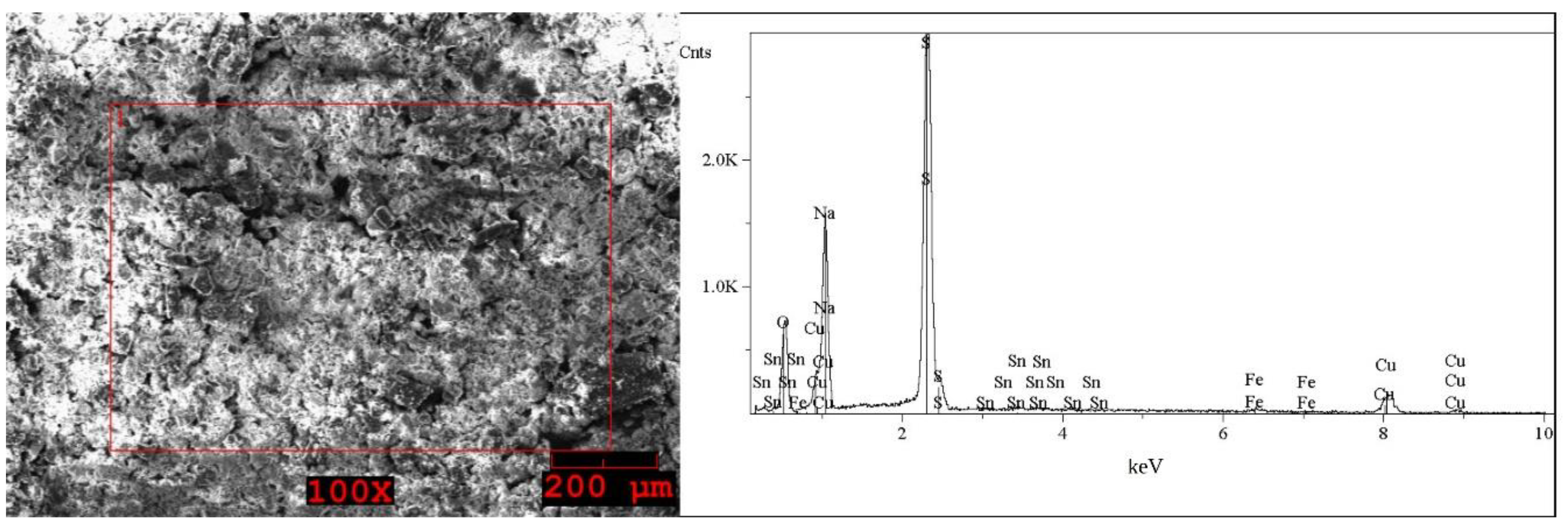 Molecules 27 04984 g005