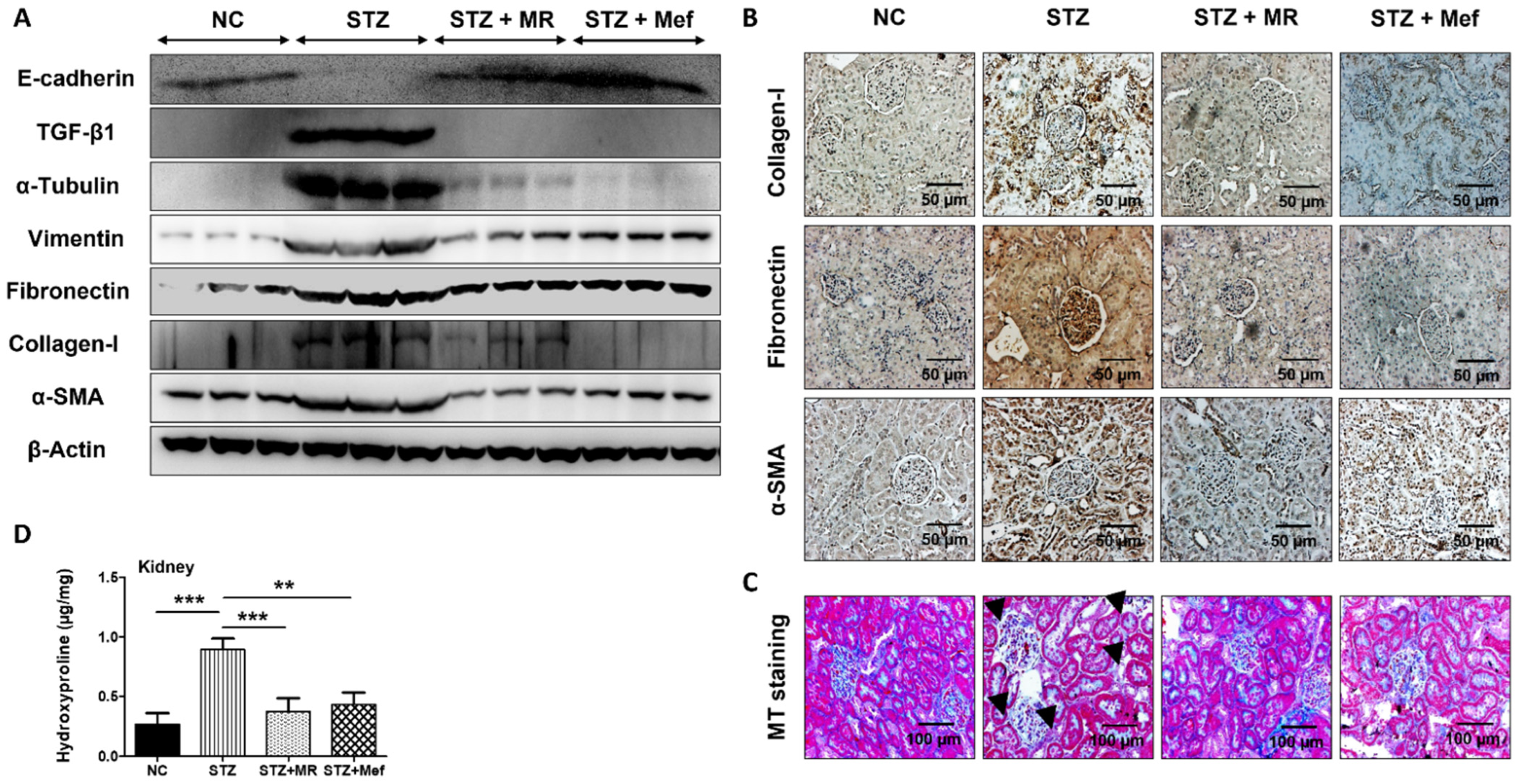 Molecules 27 04985 g004