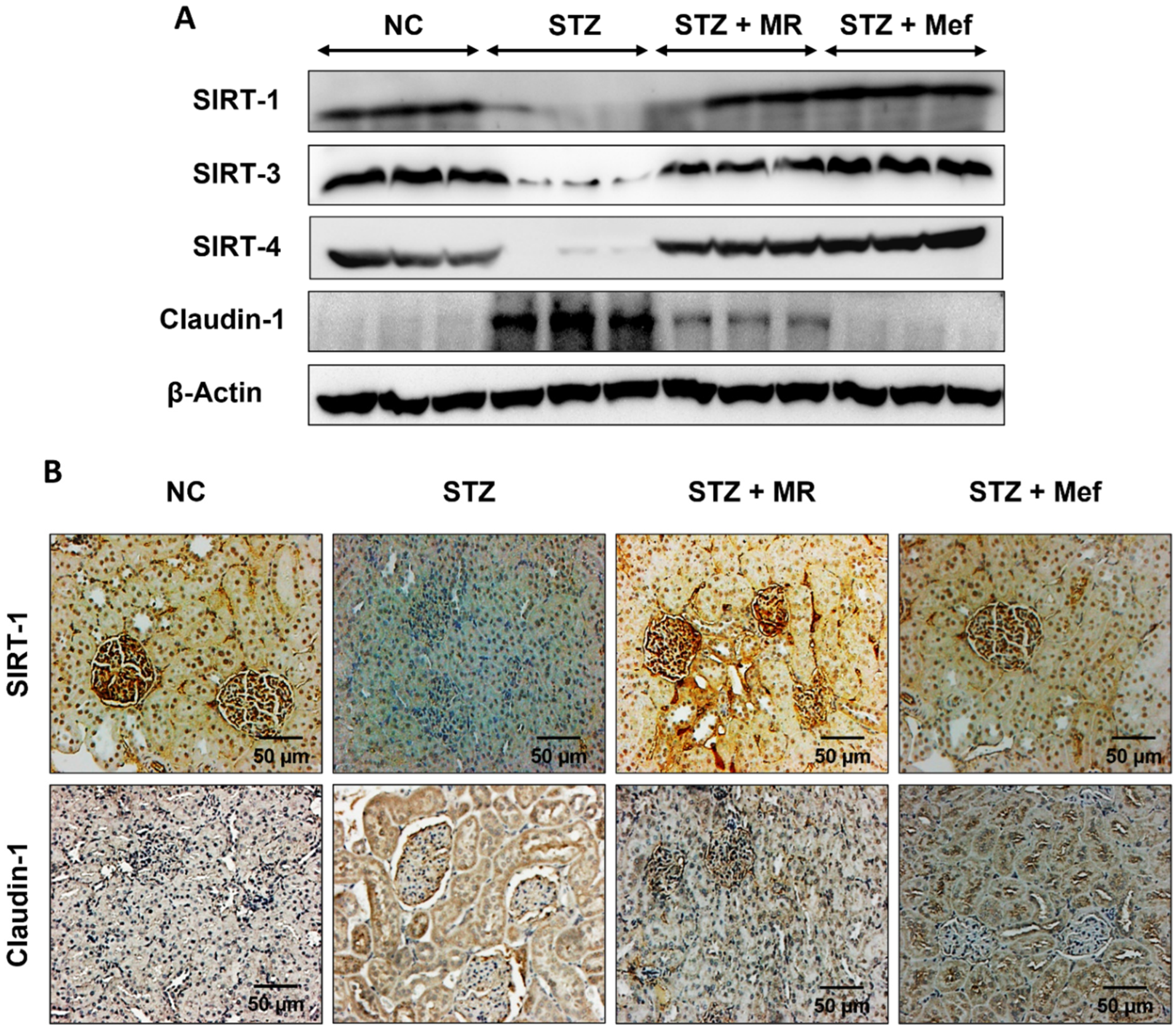 Molecules 27 04985 g005