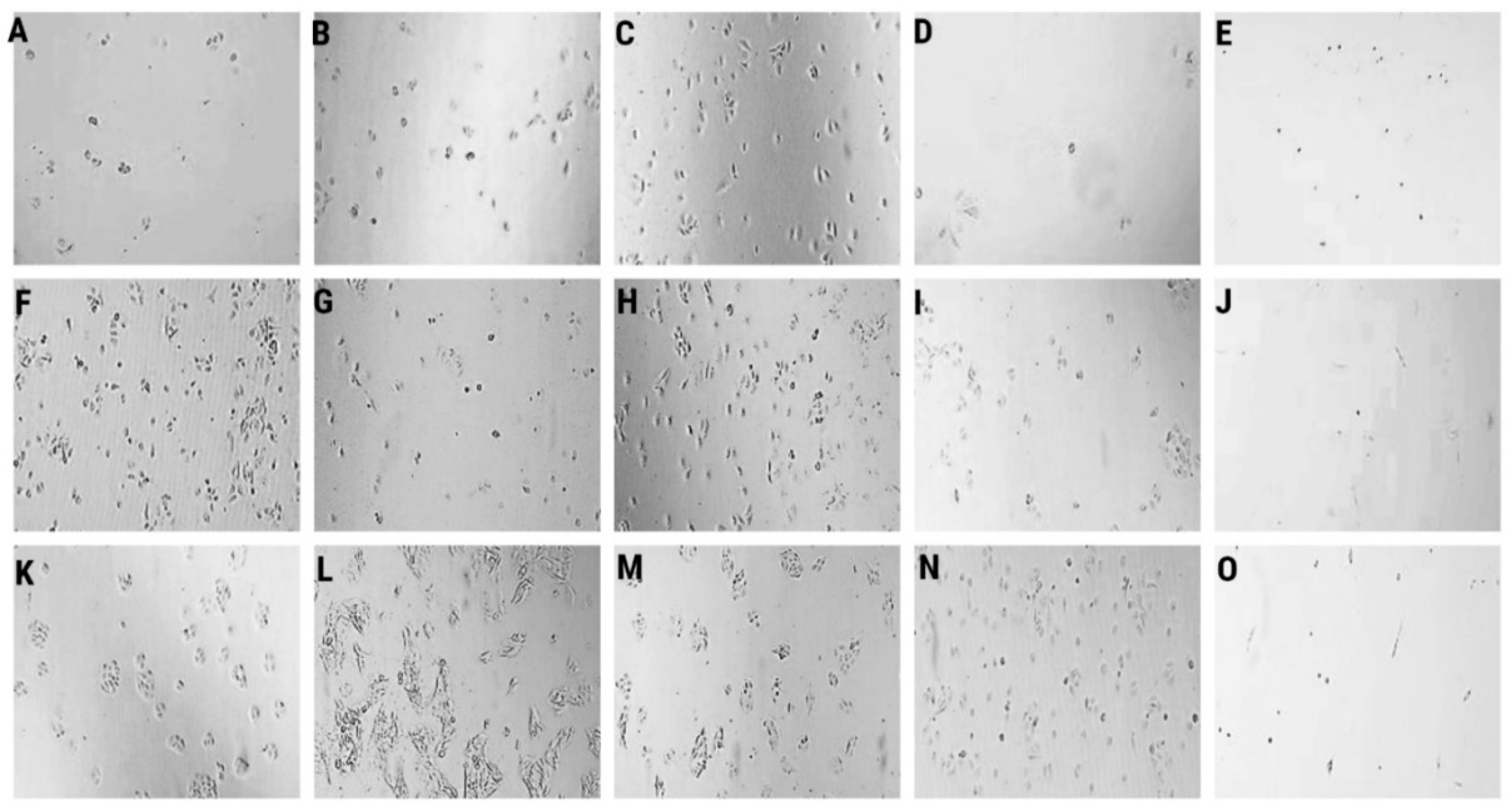 Molecules 27 04988 g001