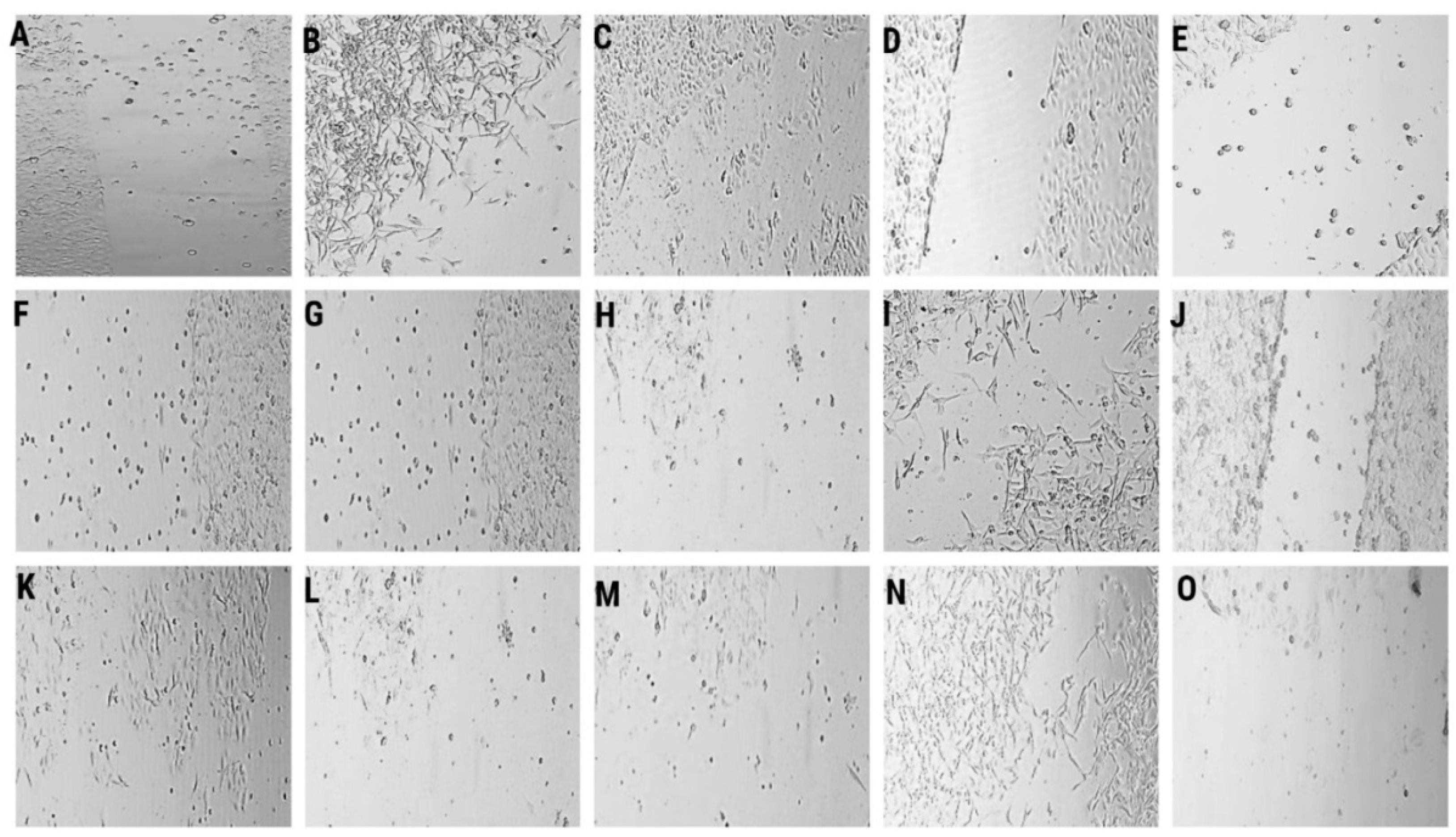 Molecules 27 04988 g005