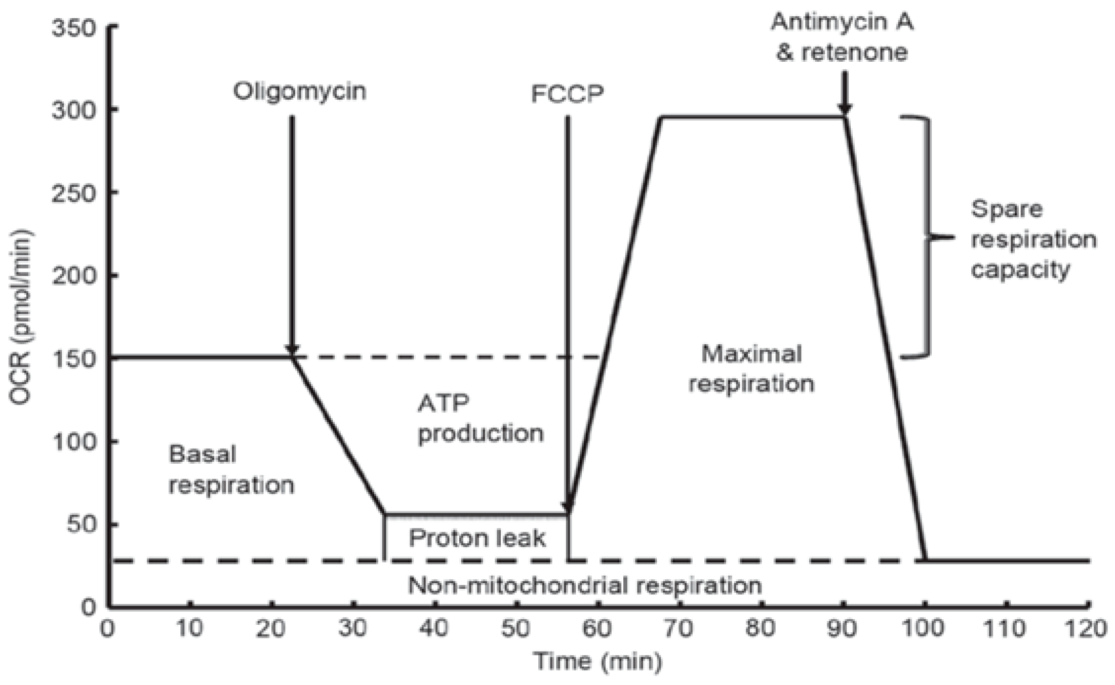 Molecules 27 04988 g006