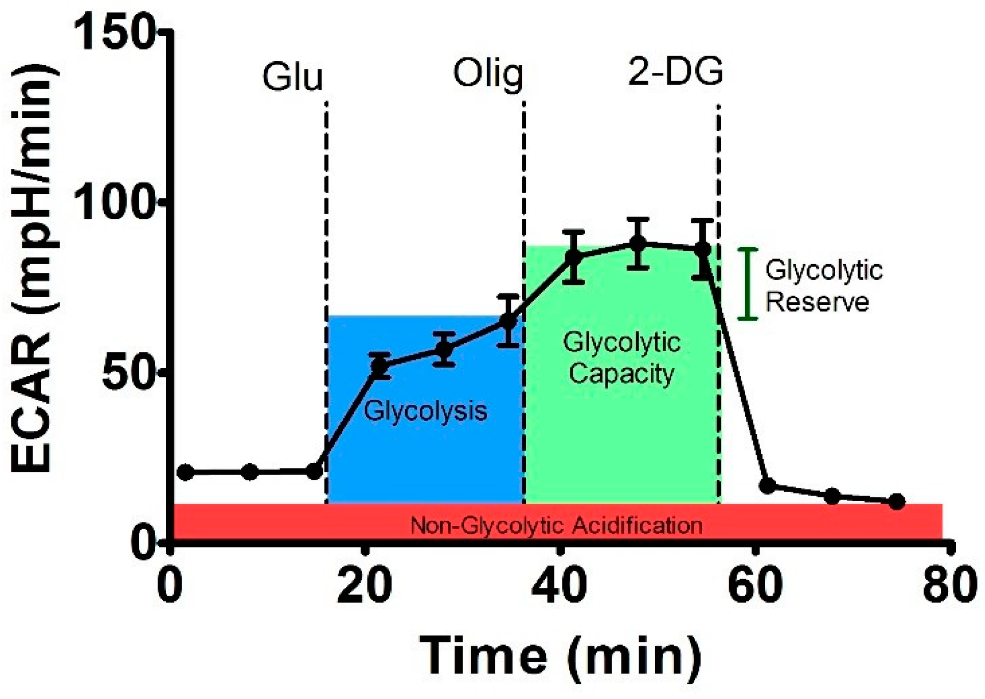 Molecules 27 04988 g007