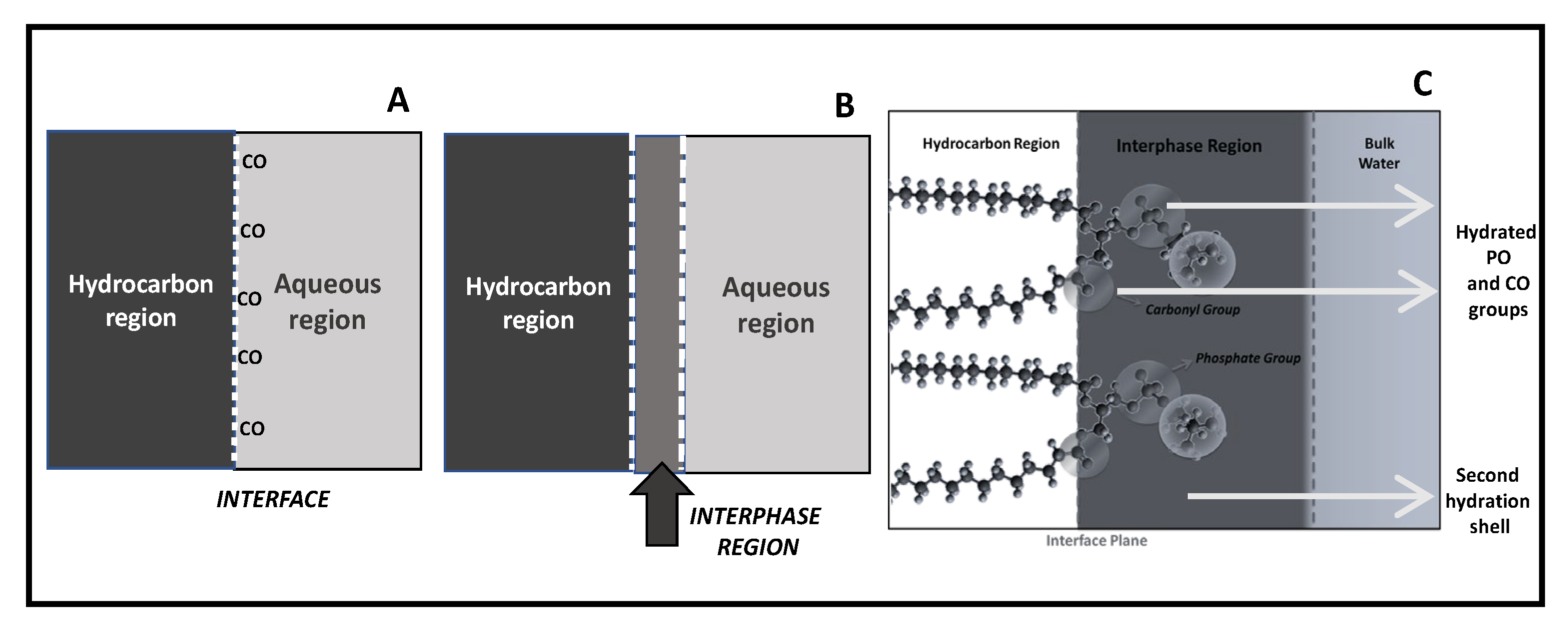 Molecules 27 04994 g001