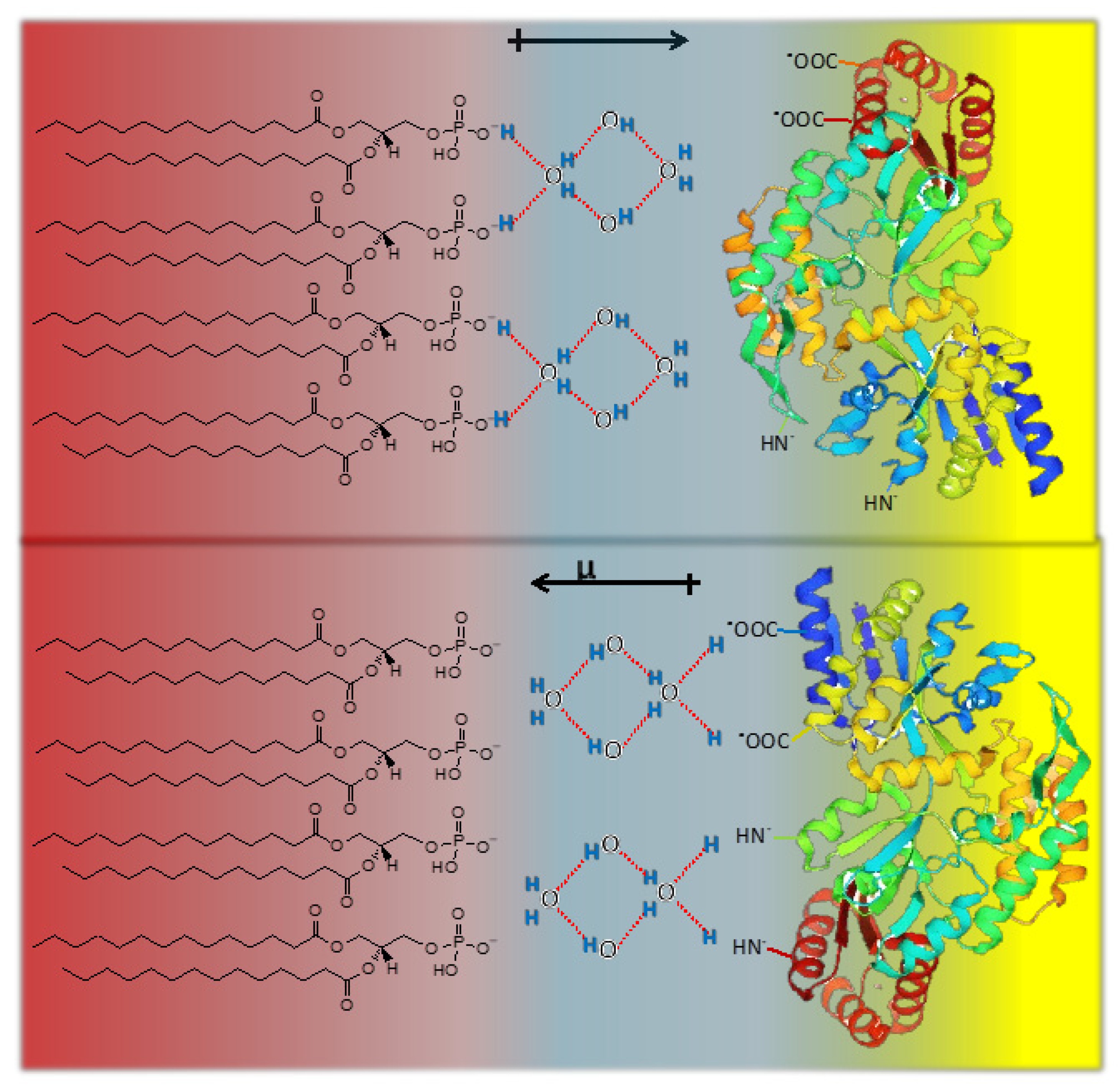 Molecules 27 04994 g005