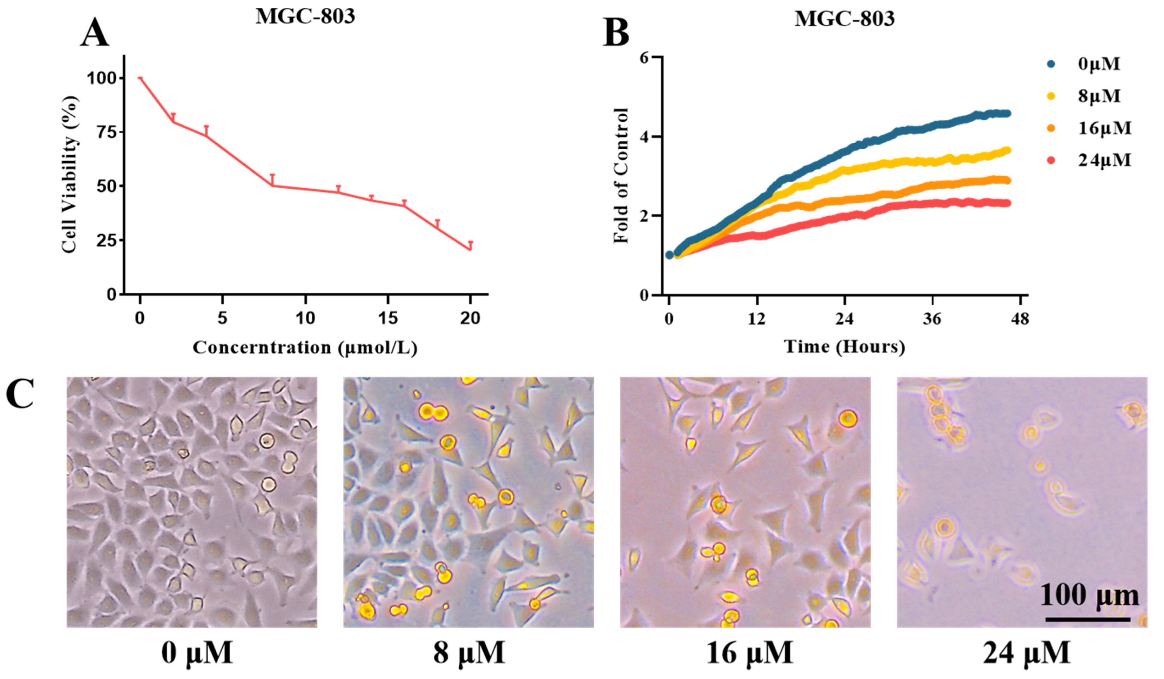 Molecules 27 04996 g004