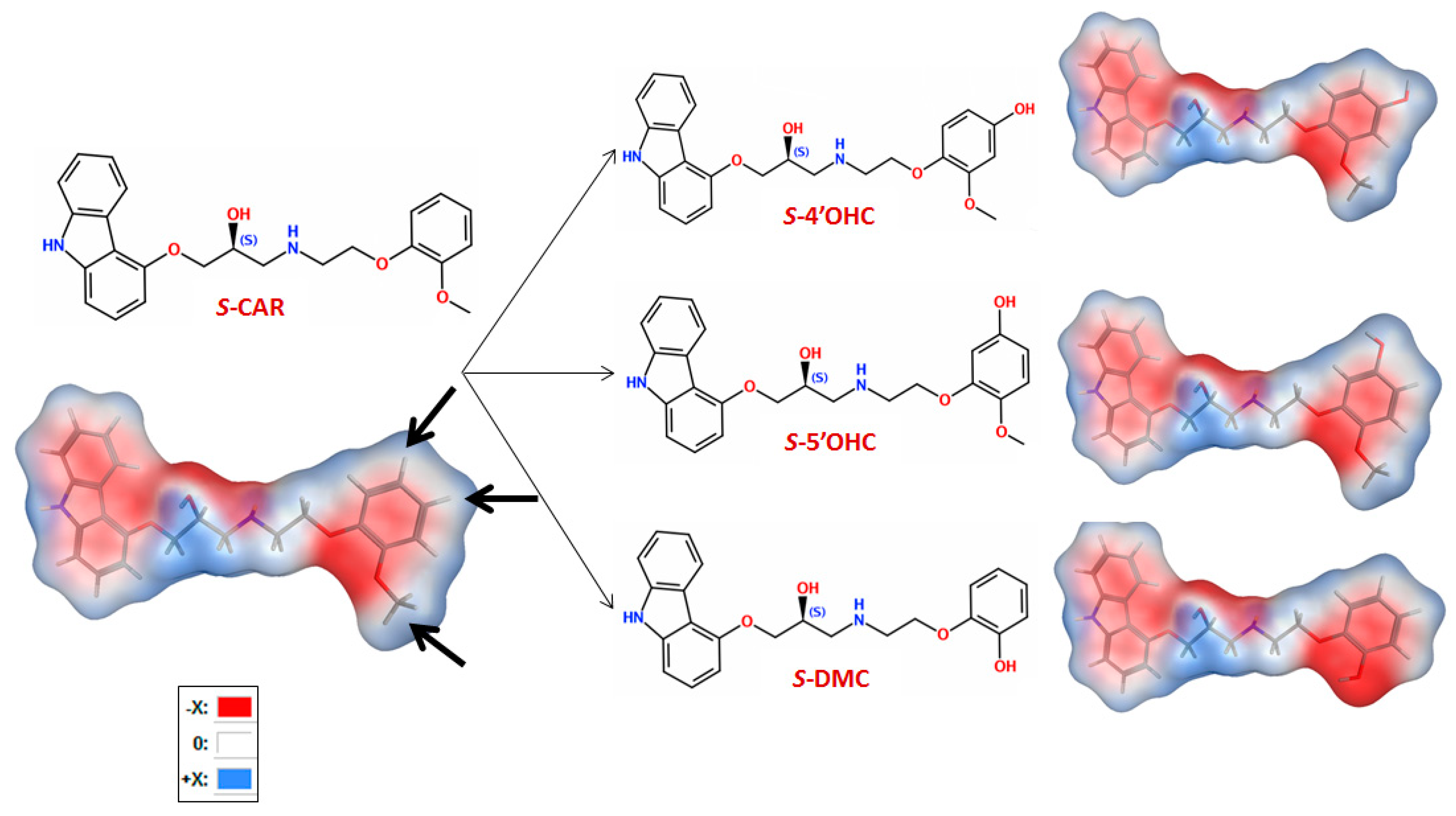 Molecules 27 04998 g001
