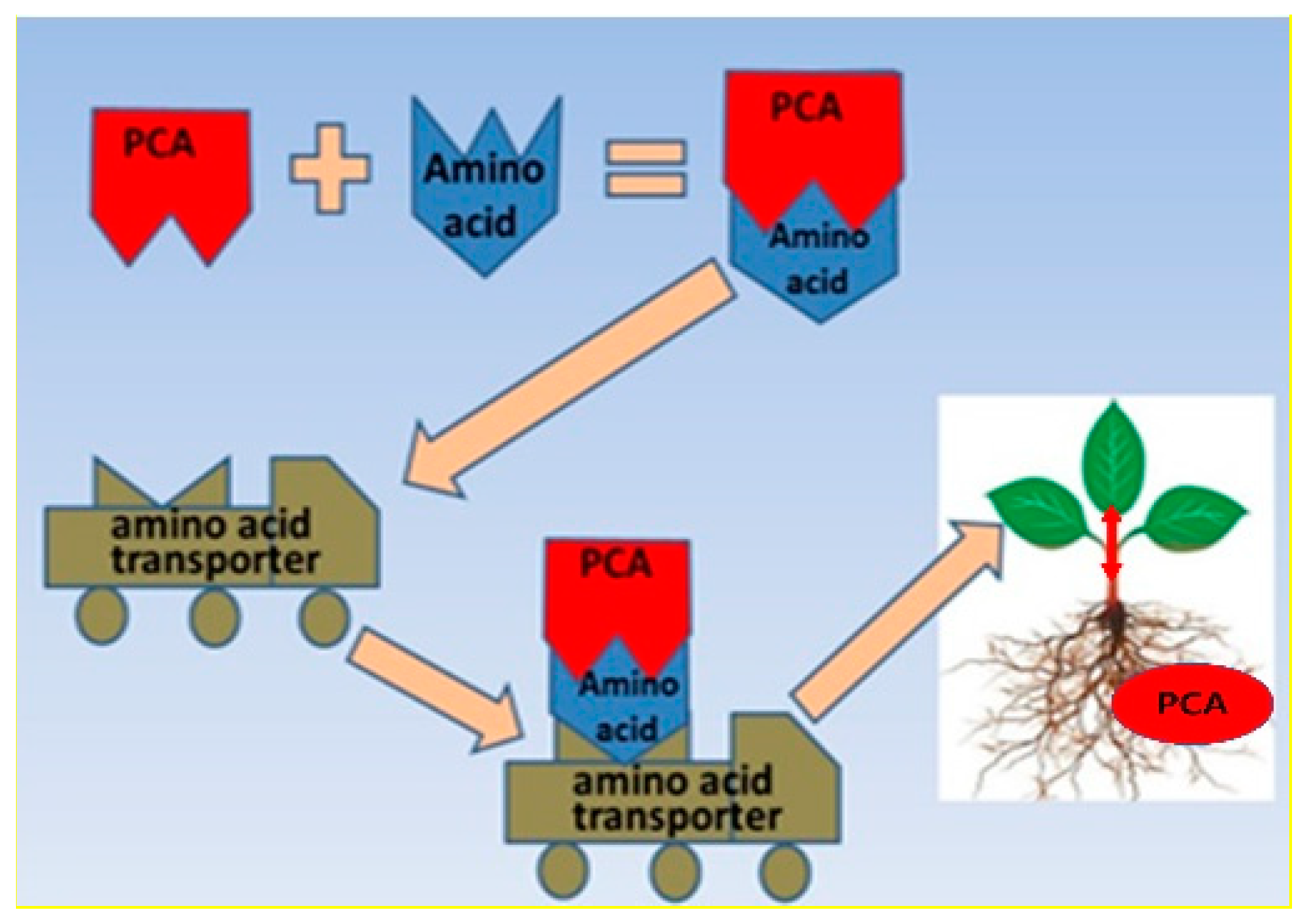 Molecules 27 04999 g004