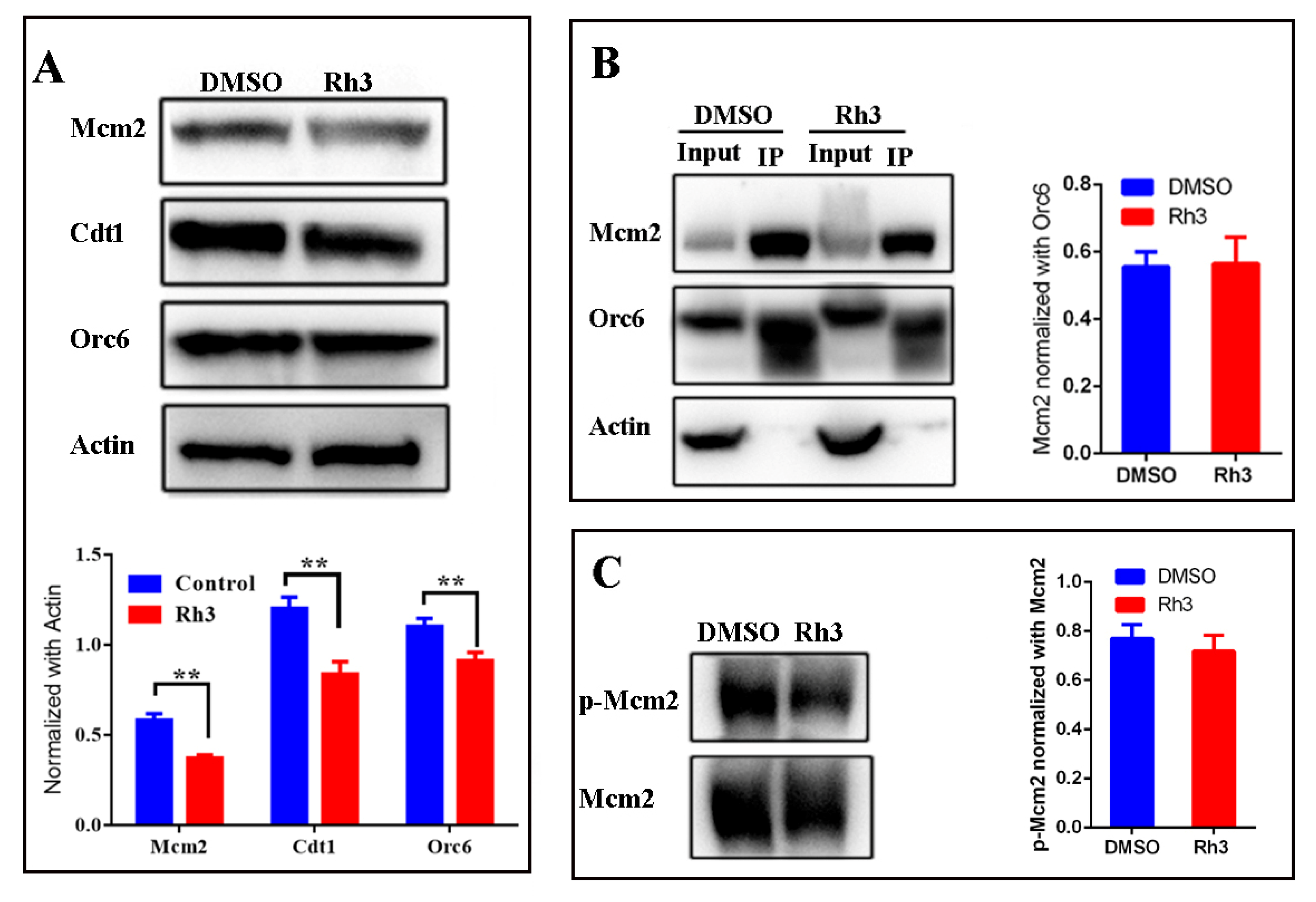 Molecules 27 05002 g003