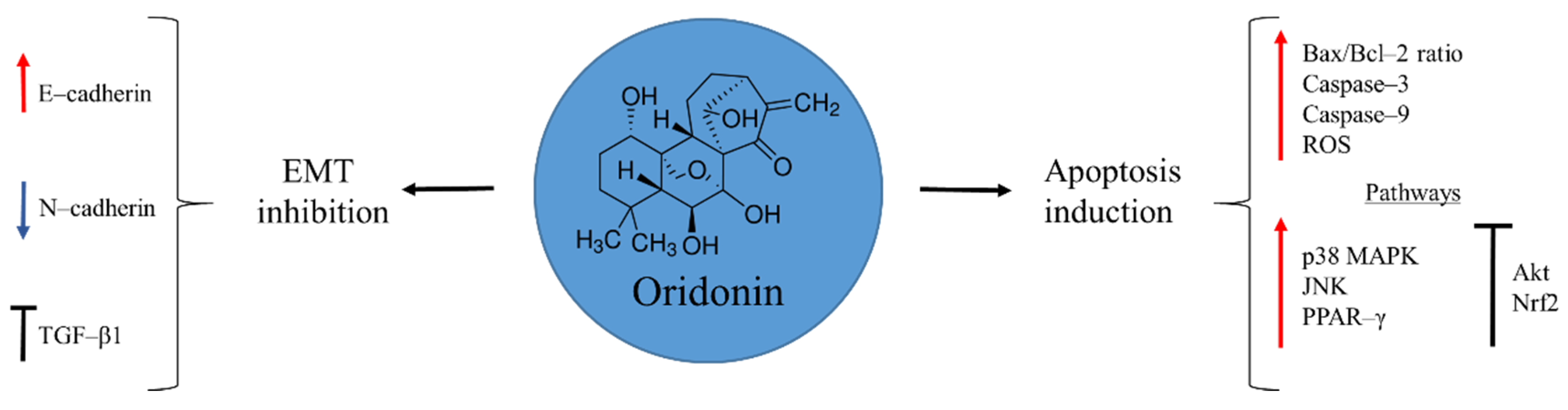 Molecules 27 05008 g001