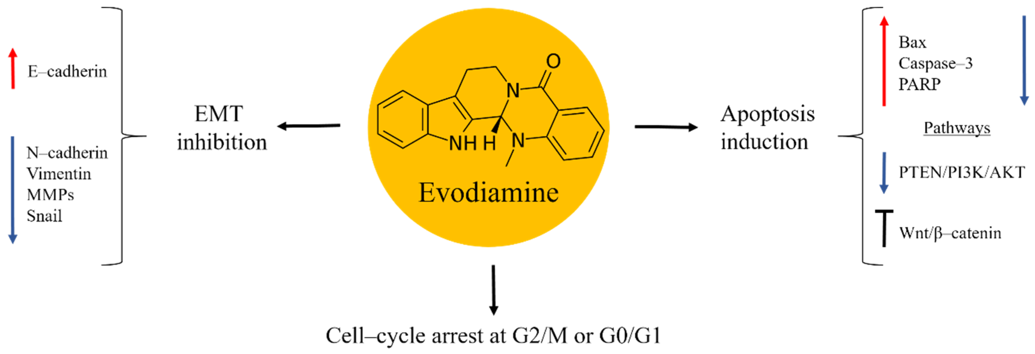 Molecules 27 05008 g004