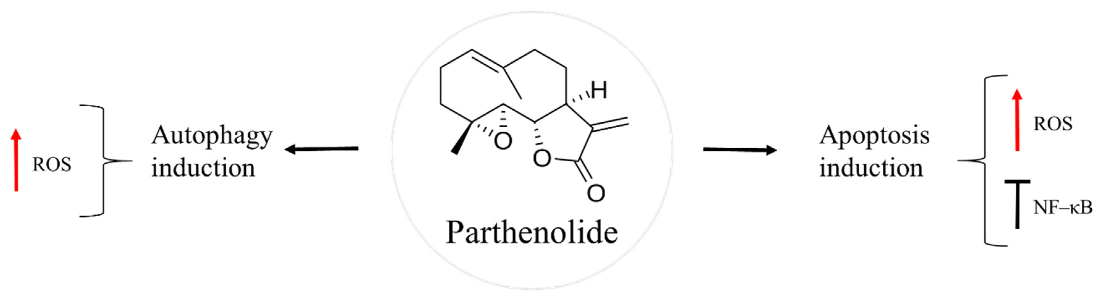 Molecules 27 05008 g005