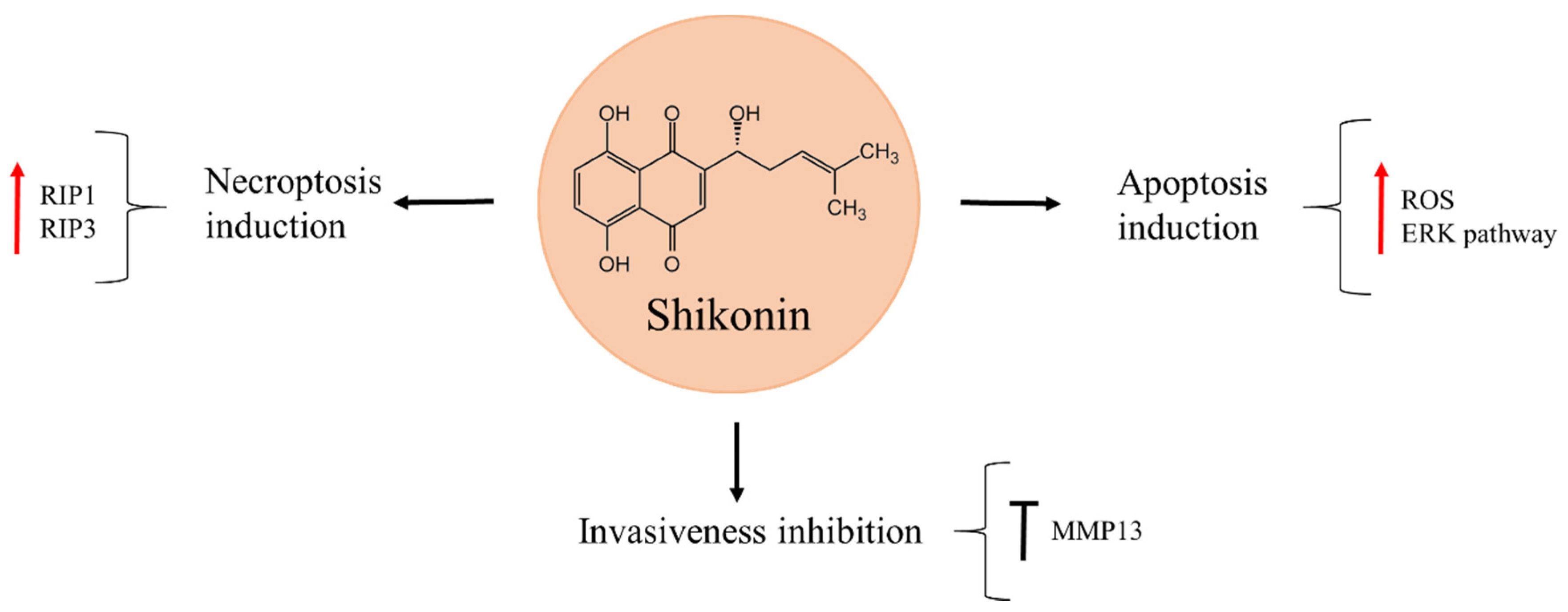 Molecules 27 05008 g006