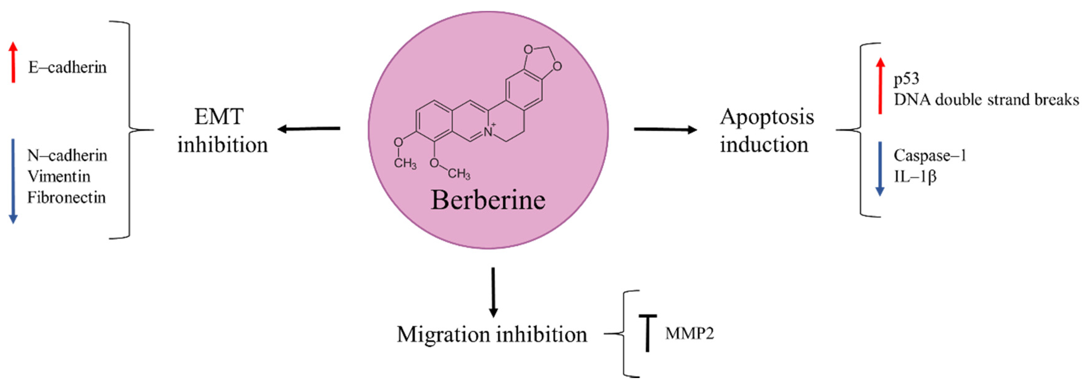 Molecules 27 05008 g007