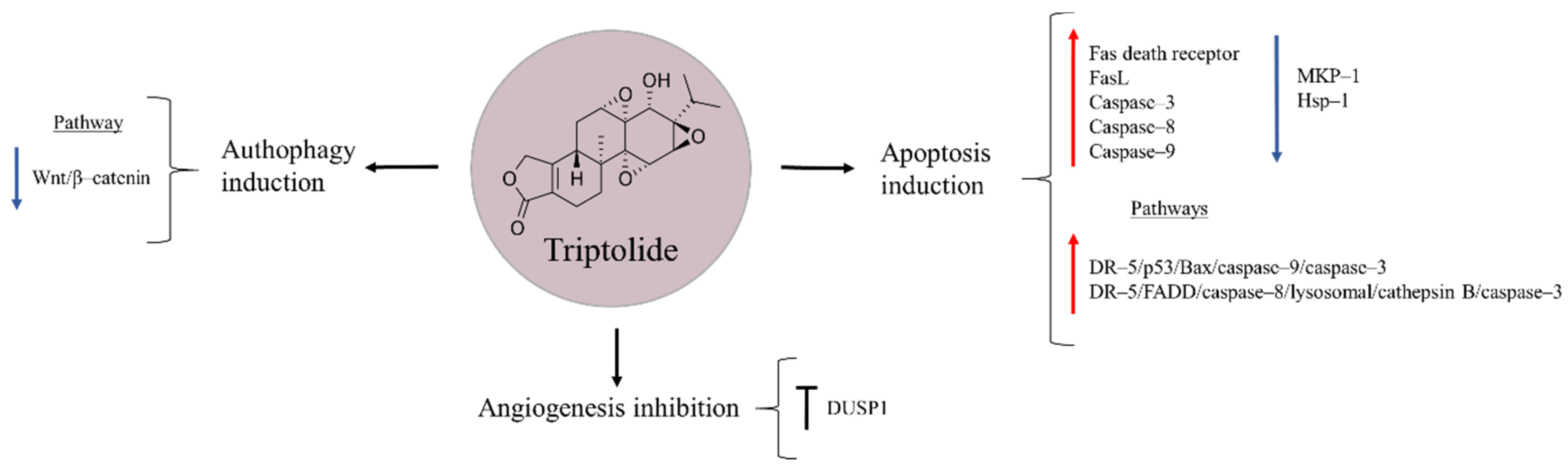Molecules 27 05008 g008