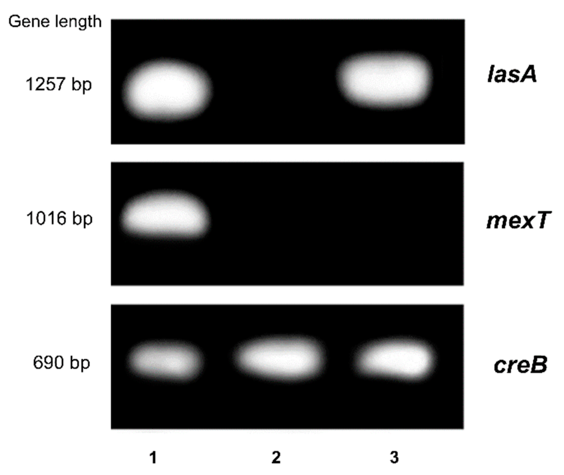 Molecules 27 05009 g005