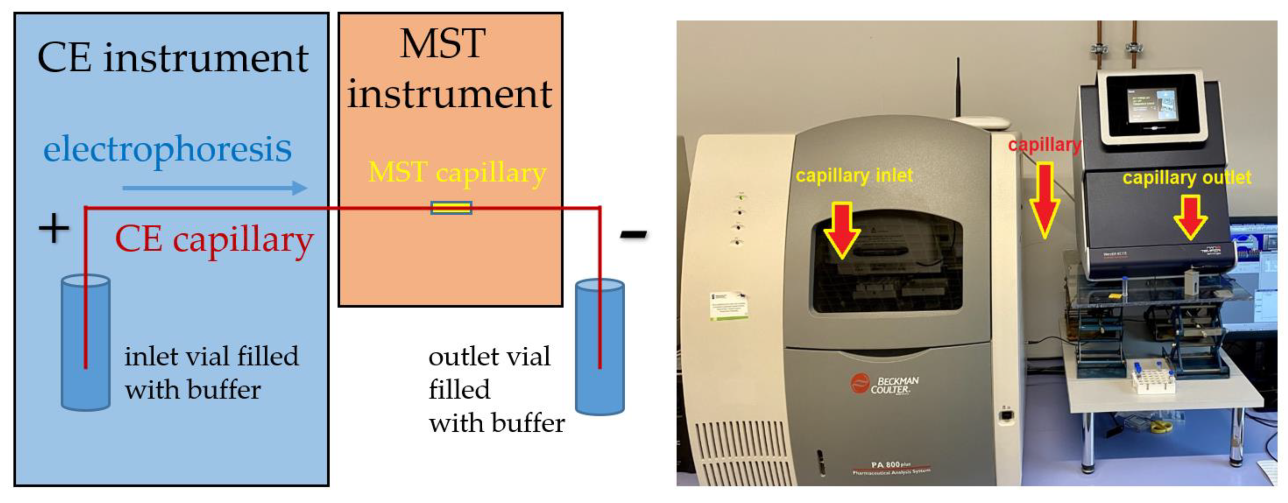 Molecules 27 05010 g004