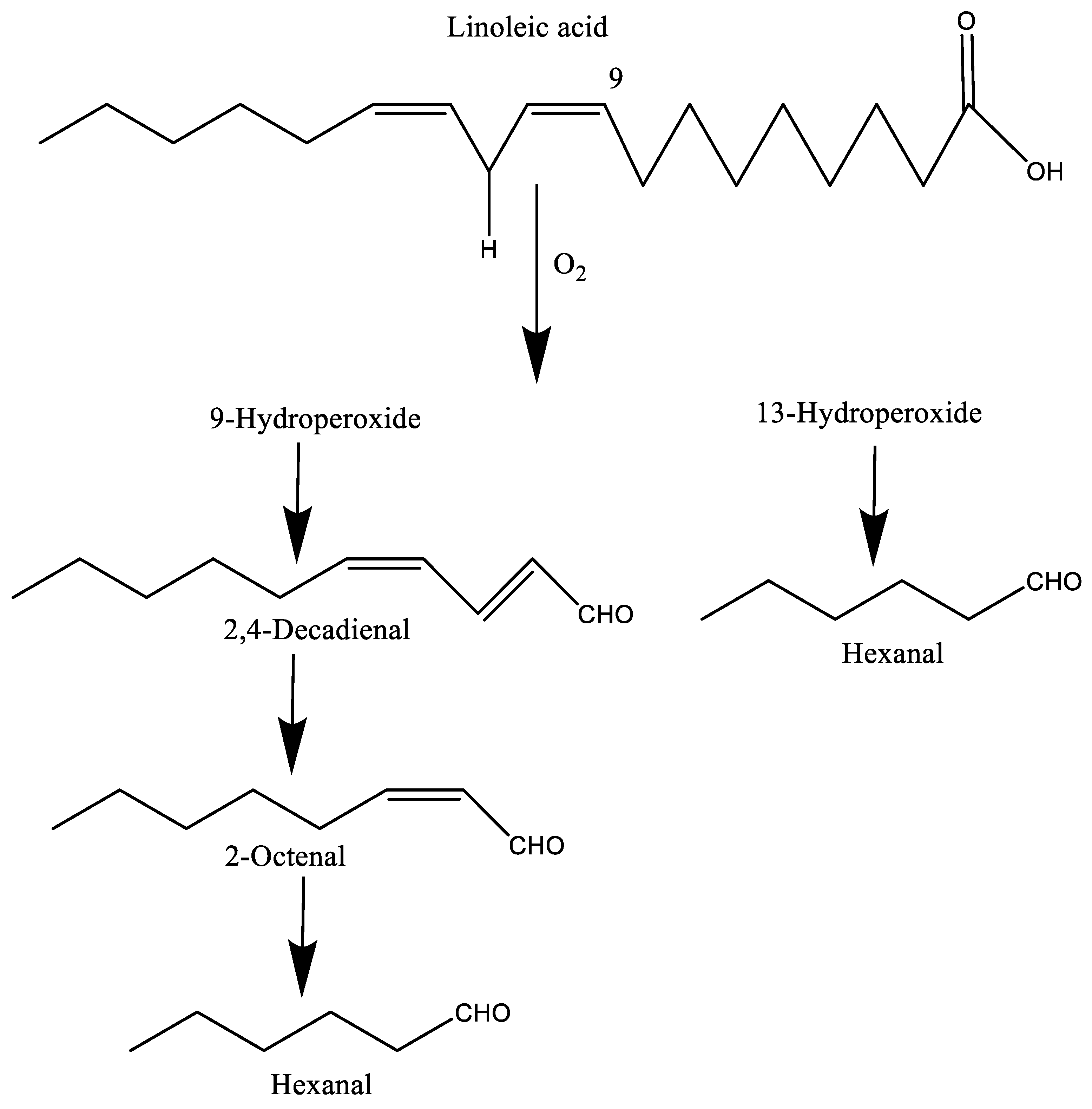 Molecules 27 05014 g001