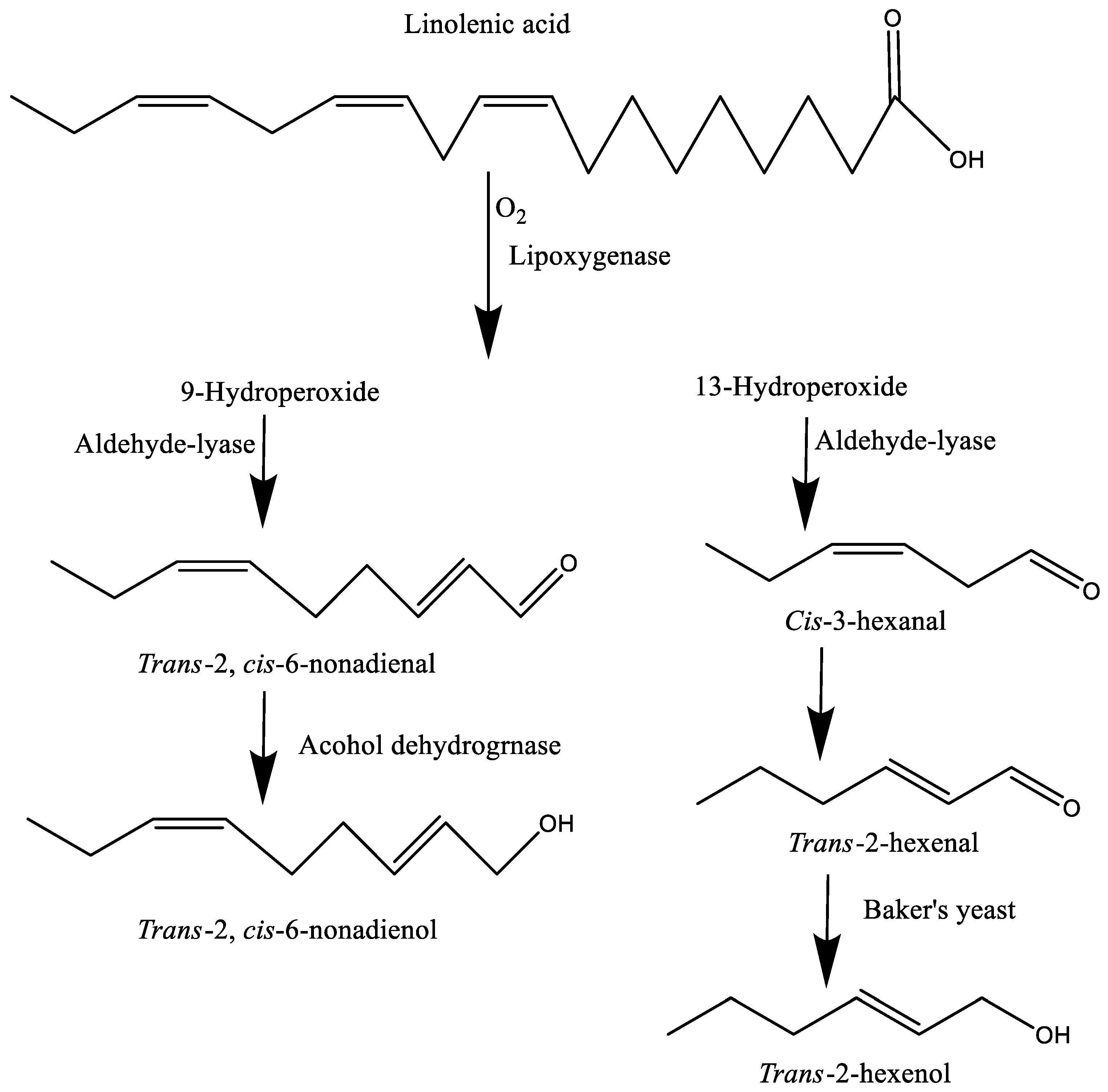 Molecules 27 05014 g002